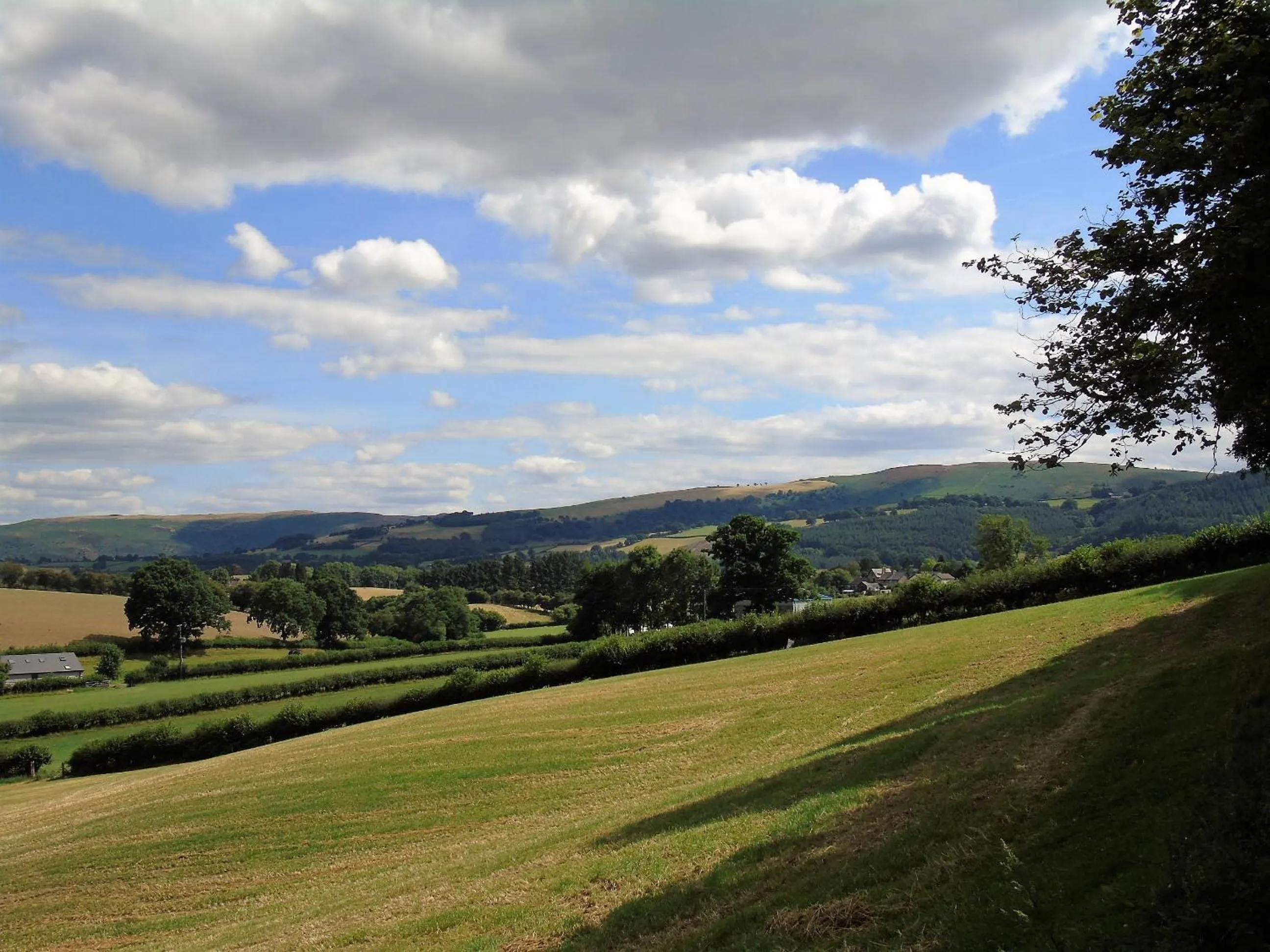 View (from property/room) in Pwllgwilym B & B
