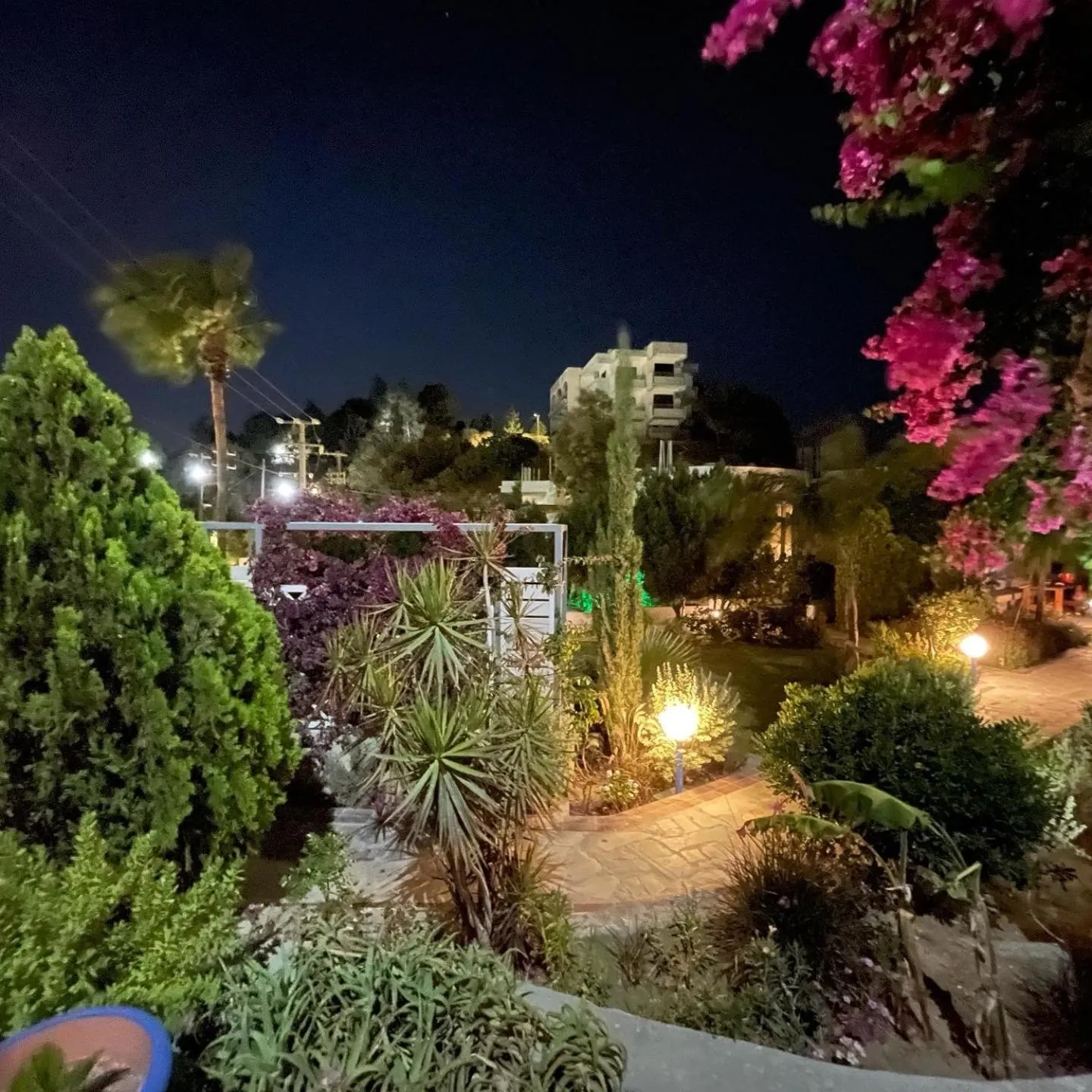 Garden in SCALA APARTS & STUDIOS - Rhodes