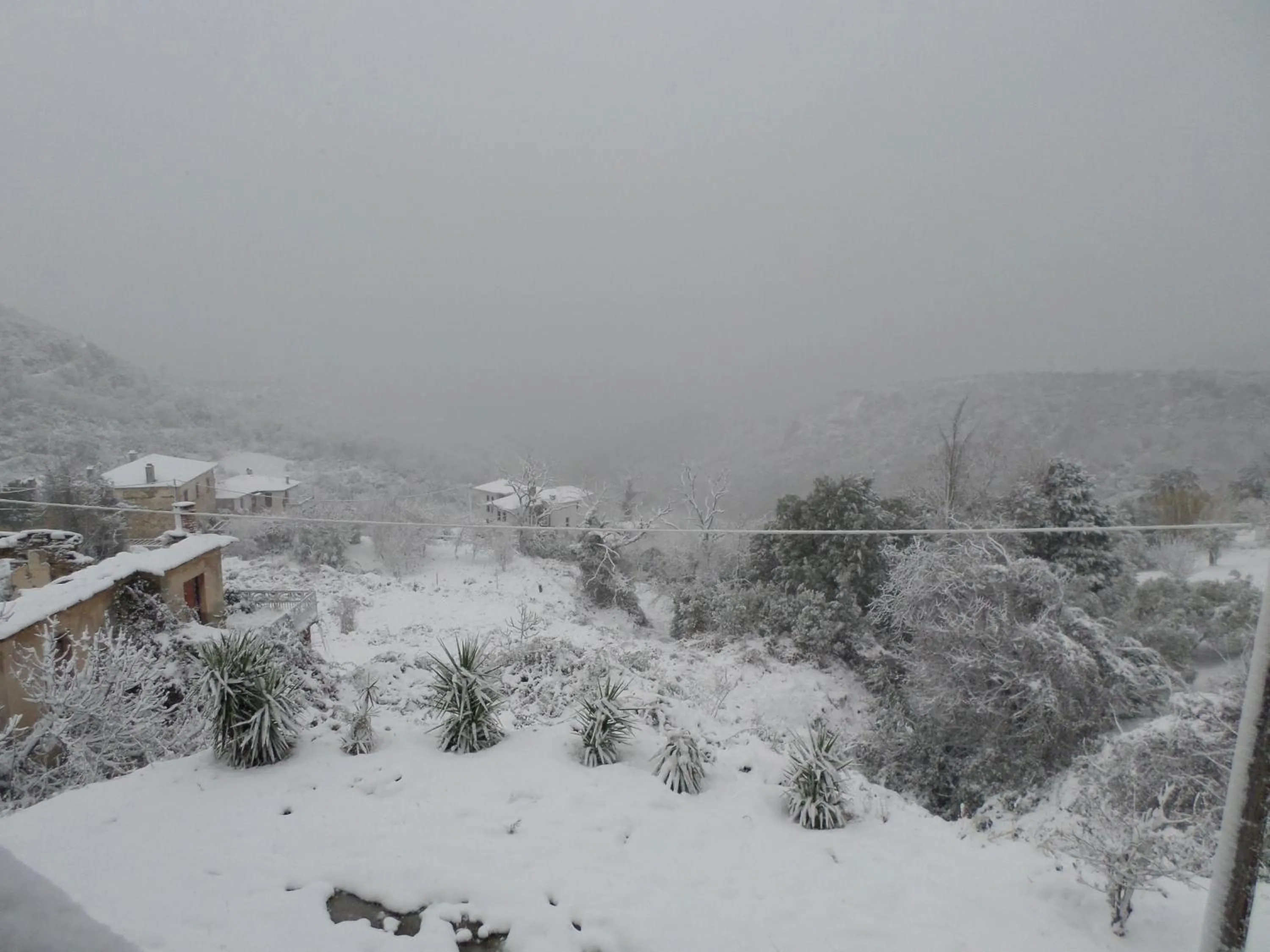 Natural landscape in Hotel Petradi
