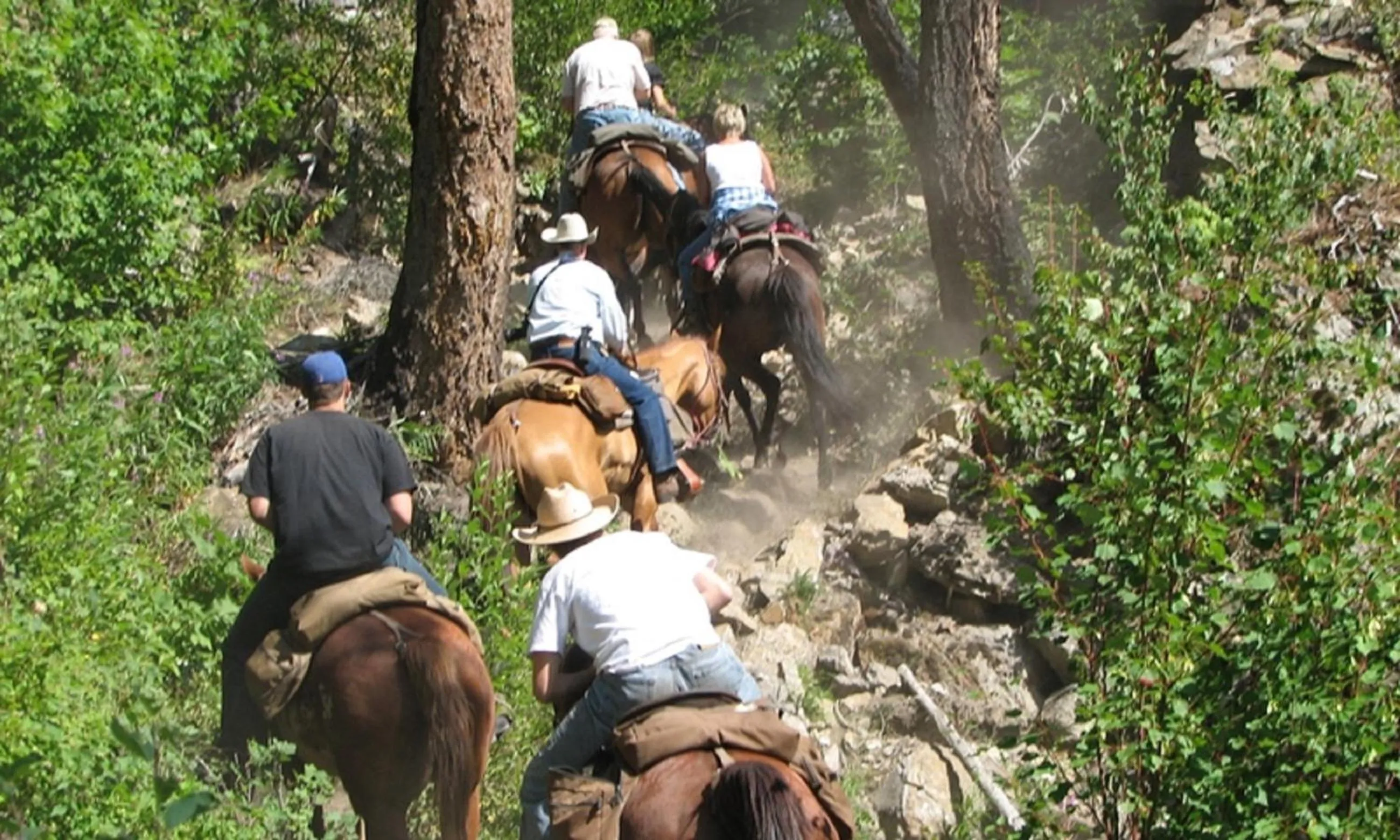Horse-riding in Hotel Petradi