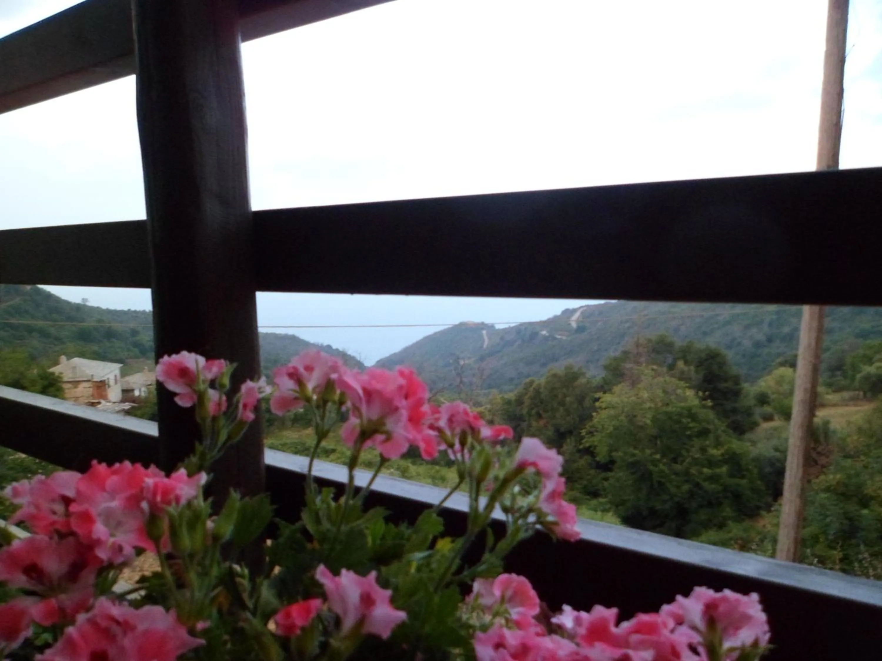 View (from property/room) in Hotel Petradi