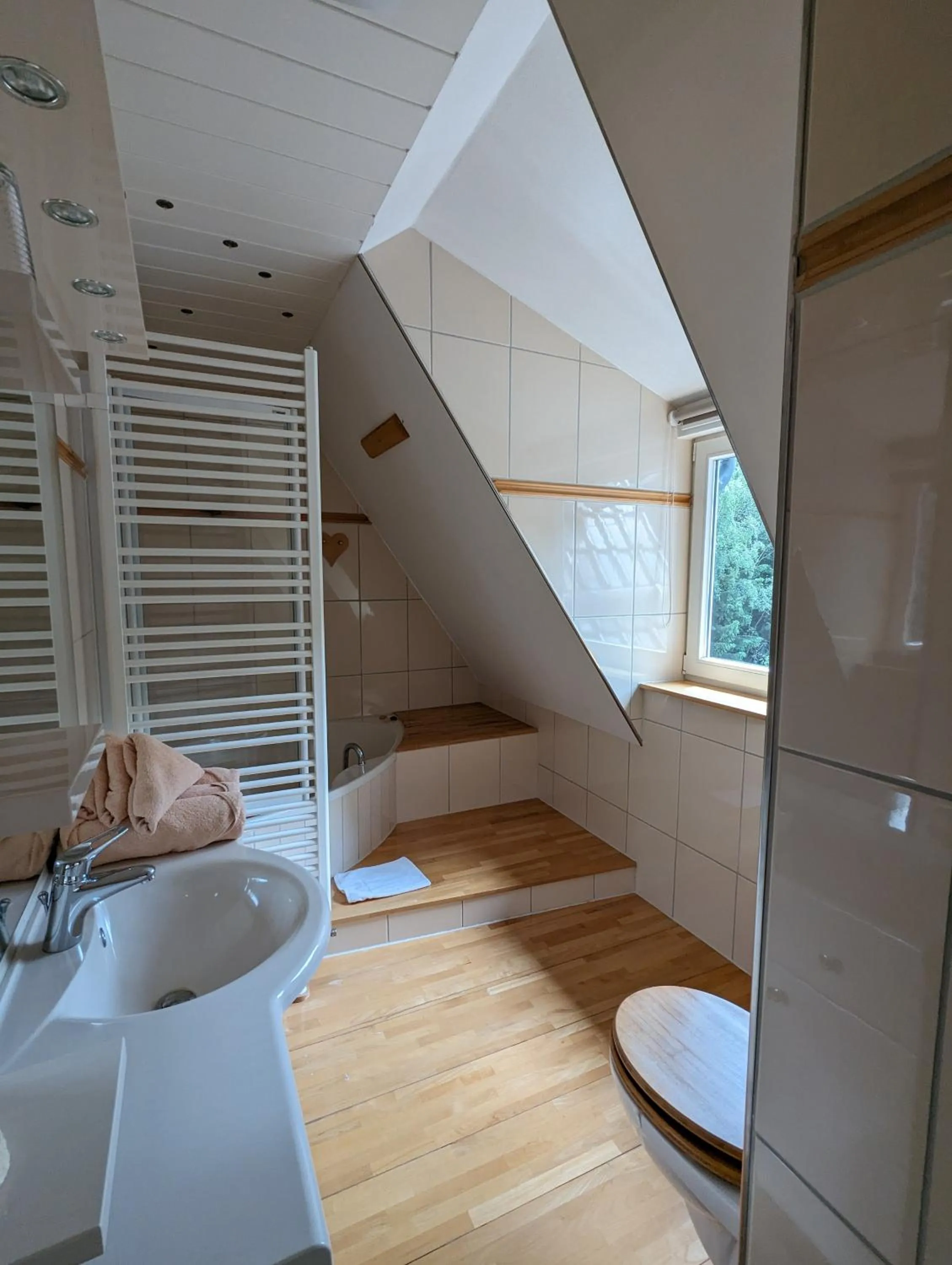 Shower in Waldgasthaus & Berghotel Steinerne Renne