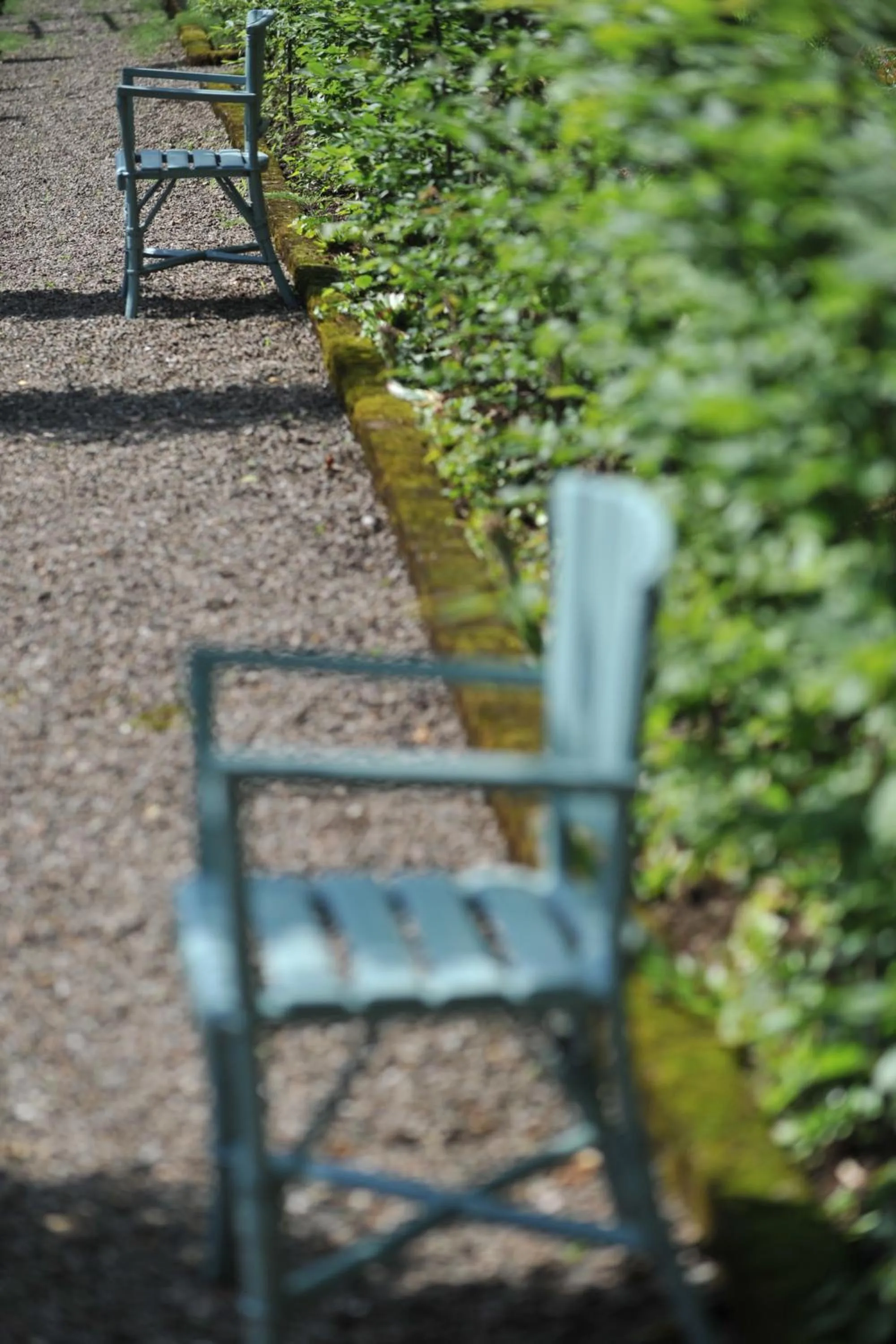 Garden in La Maison D'hôtes du Parc