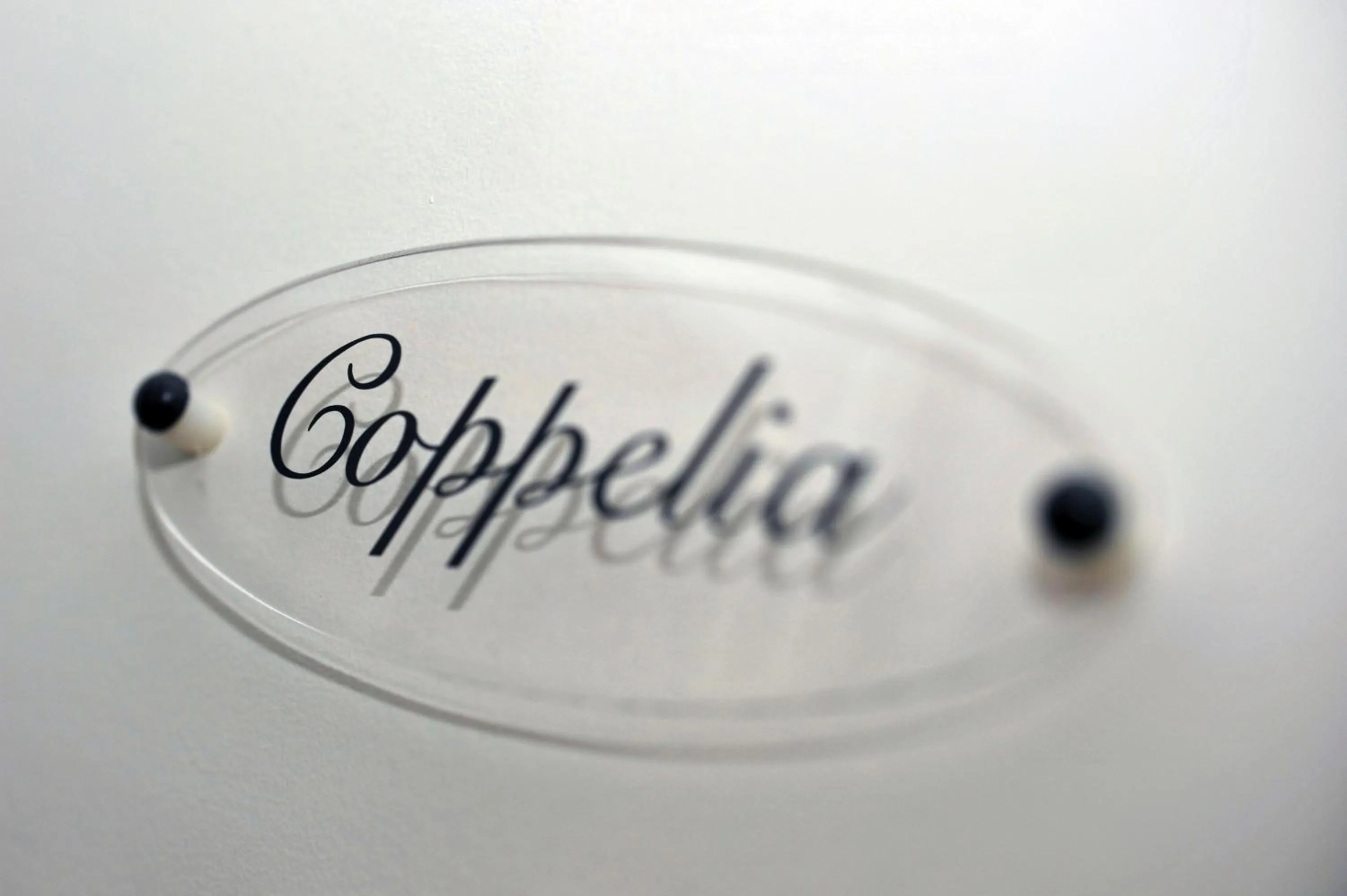 Decorative detail in La Maison D'hôtes du Parc