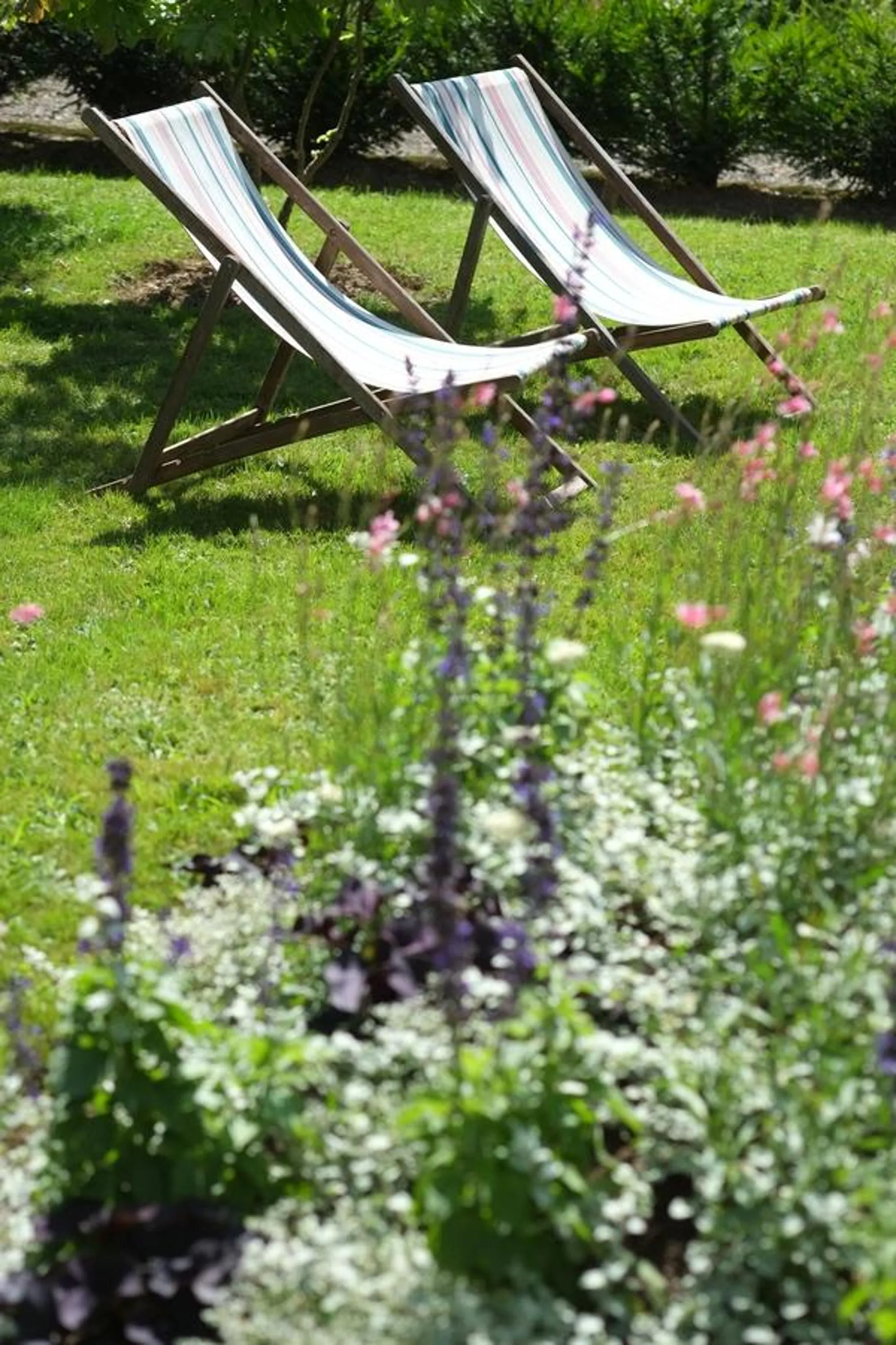 Garden in La Maison D'hôtes du Parc