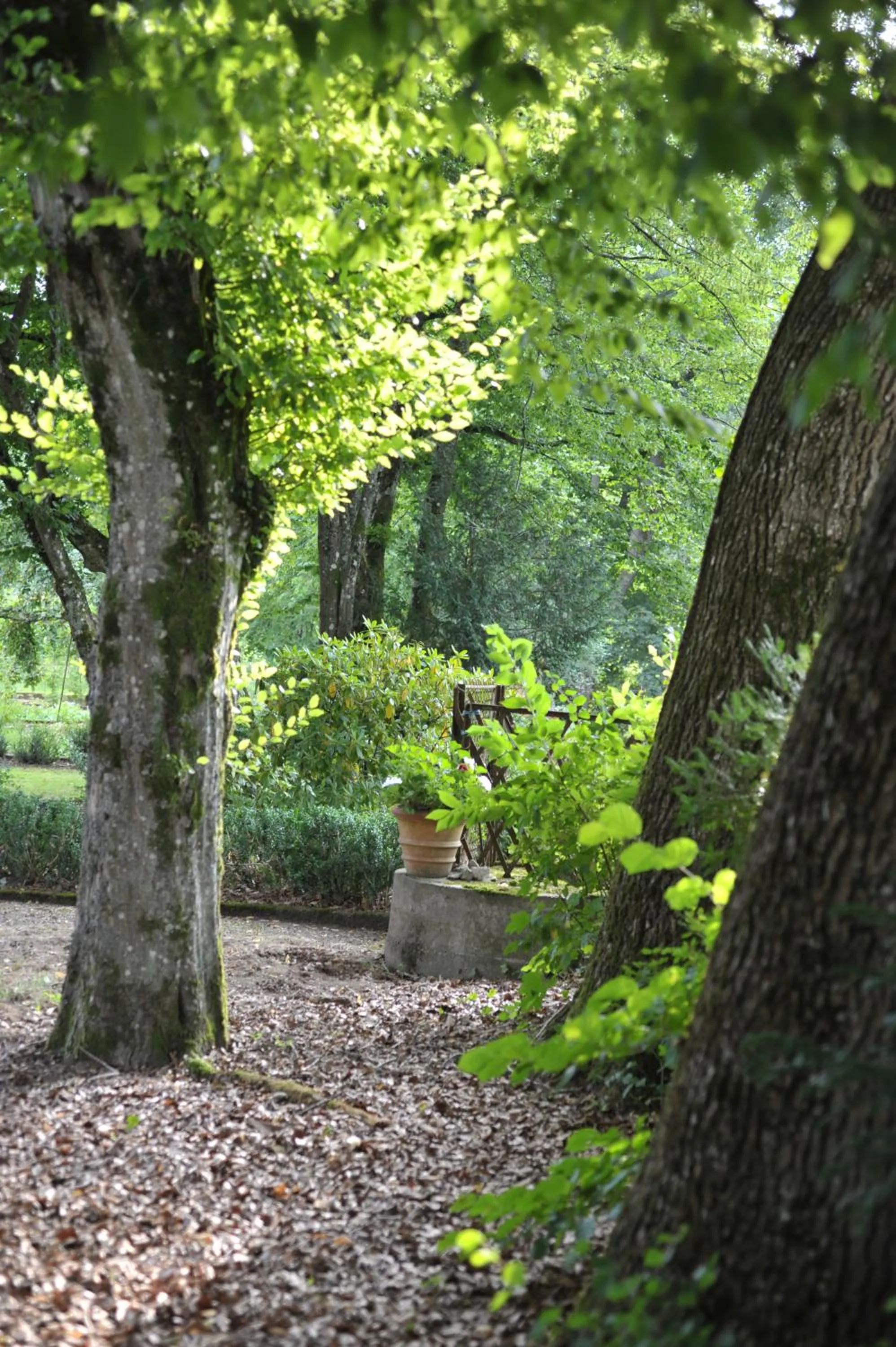 Garden in La Maison D'hôtes du Parc