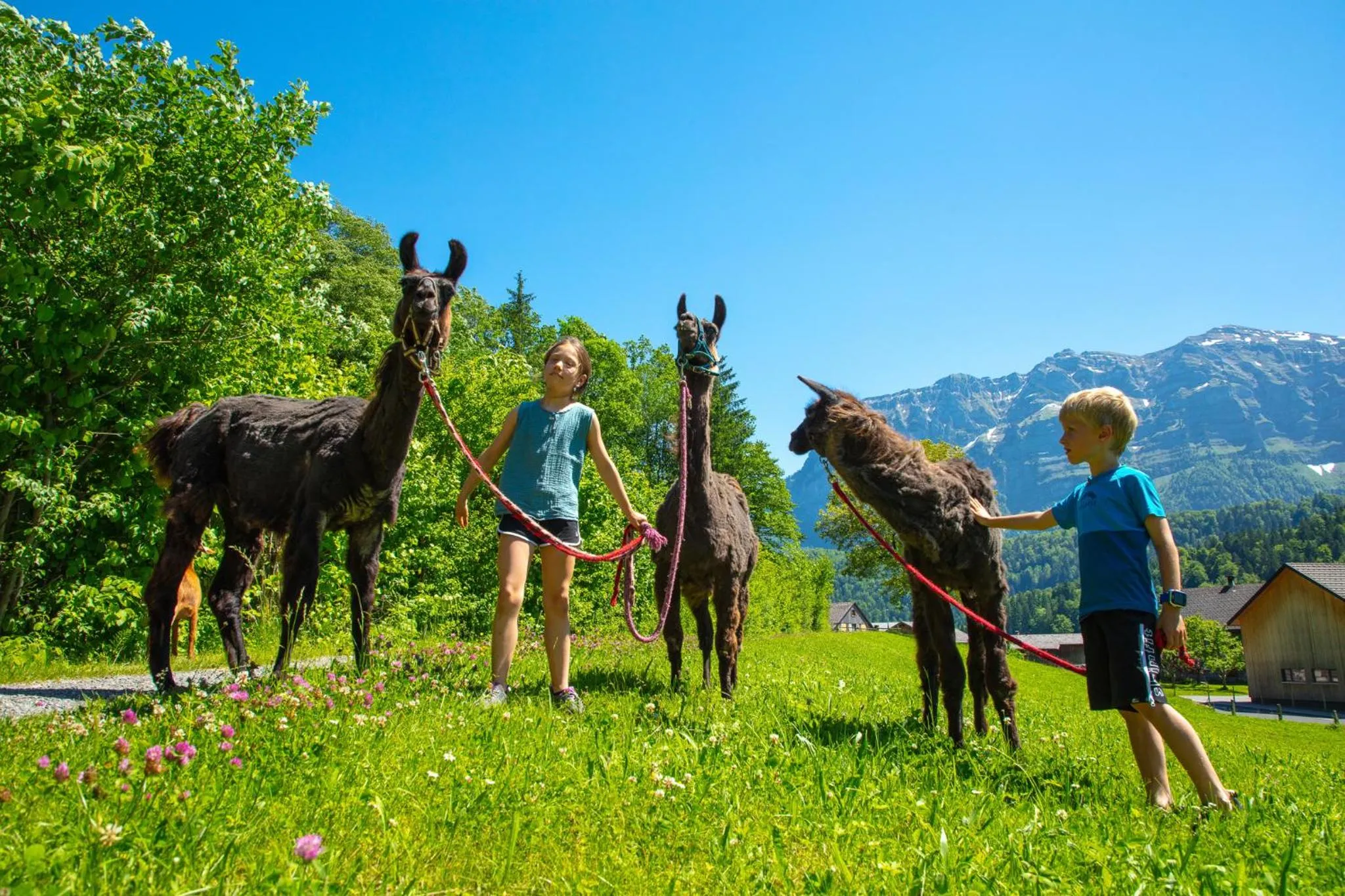 Kids's club in Sonne Bezau - Familotel Bregenzerwald