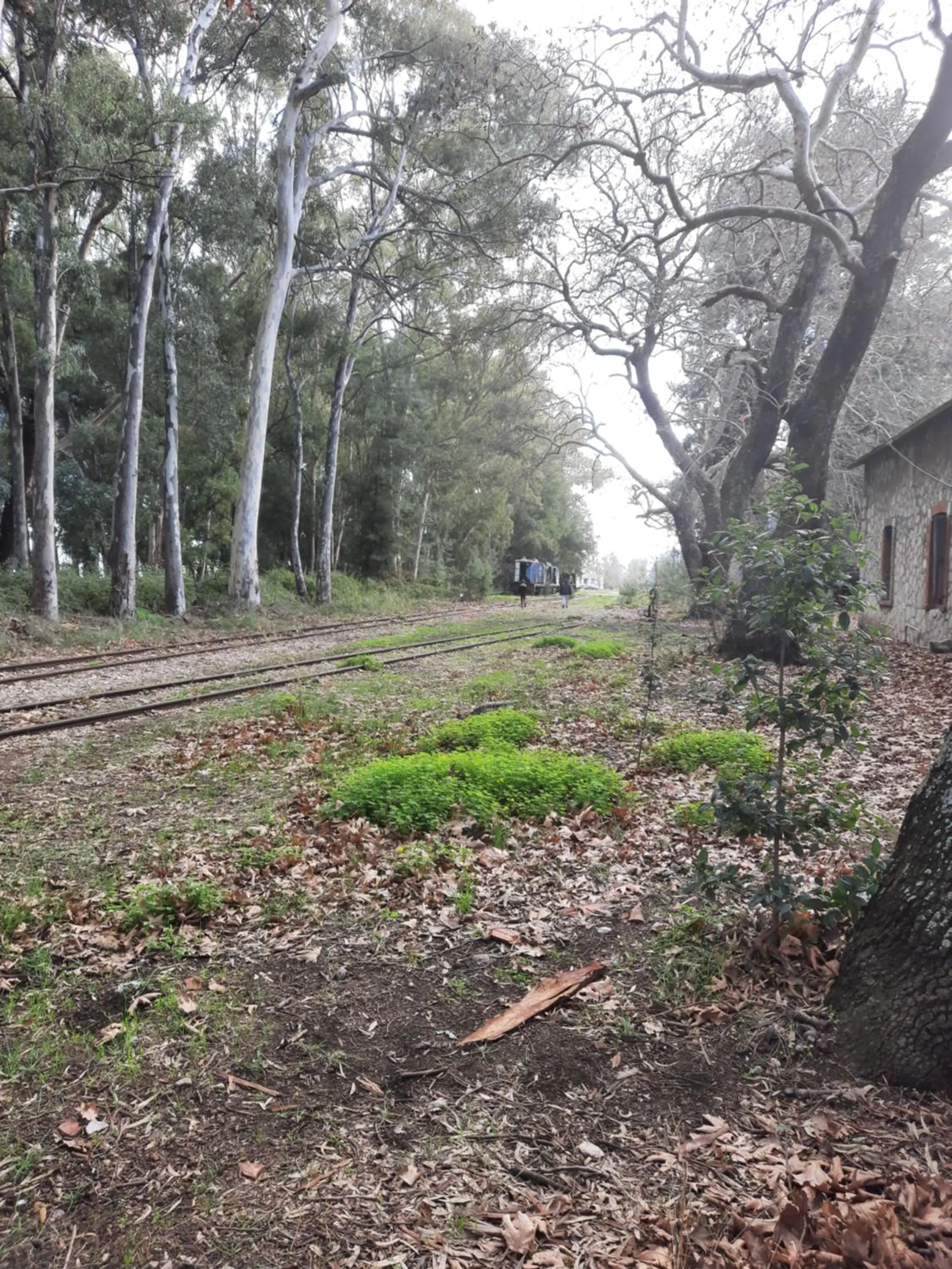 Hiking in O Xenonas Ton Mylon