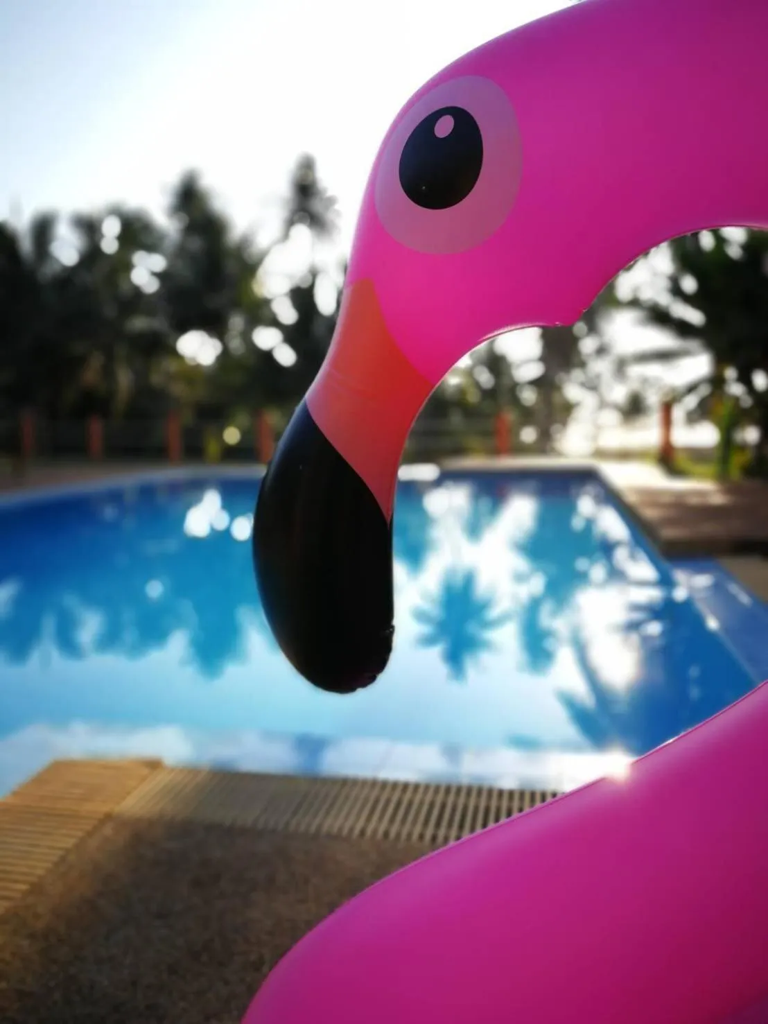 Sleep Soundly By The Sea