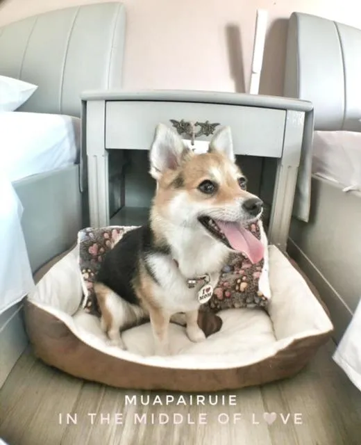 Sleep Soundly By The Sea