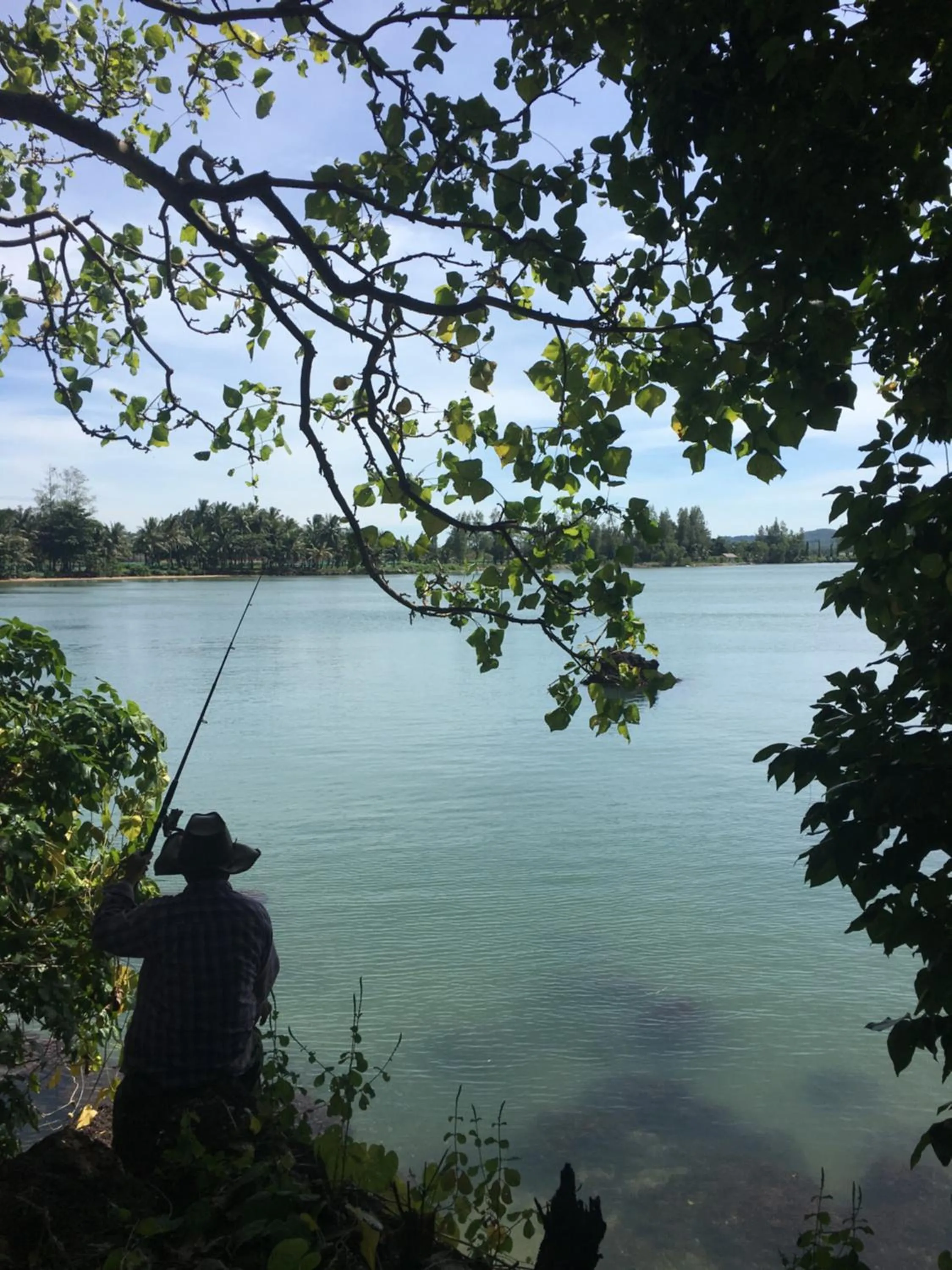 Natural landscape in Sleep Soundly By The Sea