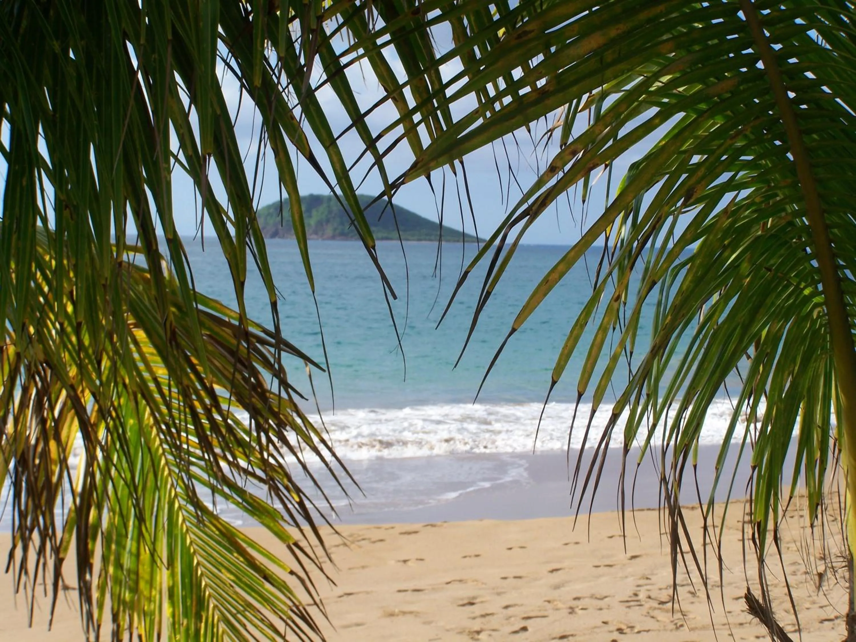 Restaurant/places to eat in Gite LES CALEBASSIERS