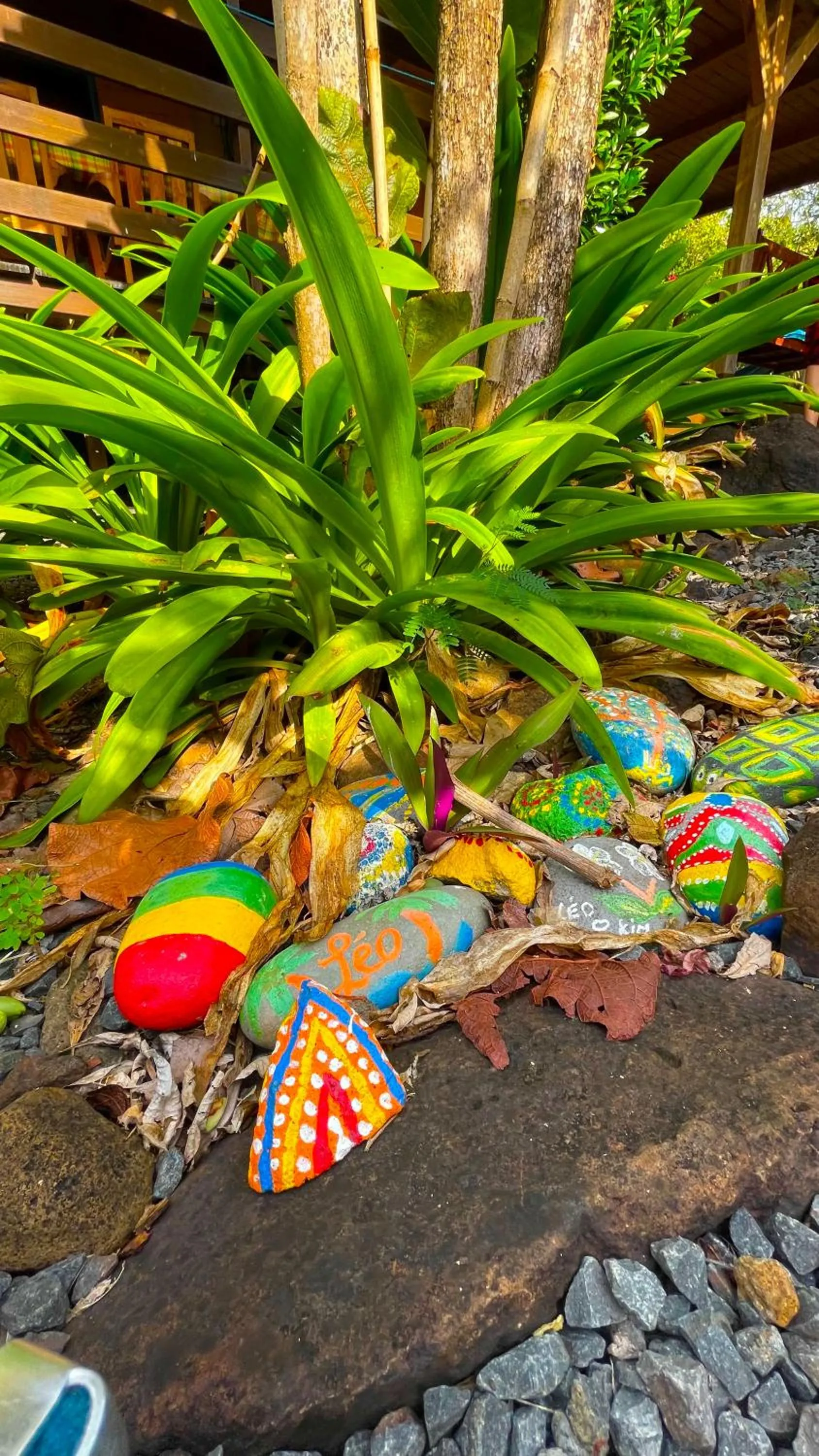 Gite LES CALEBASSIERS