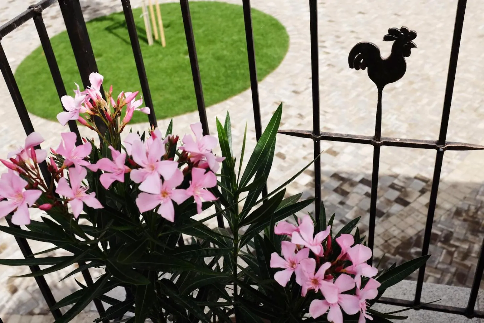 Garden view in PROSECCO RESIDENCE MARKO