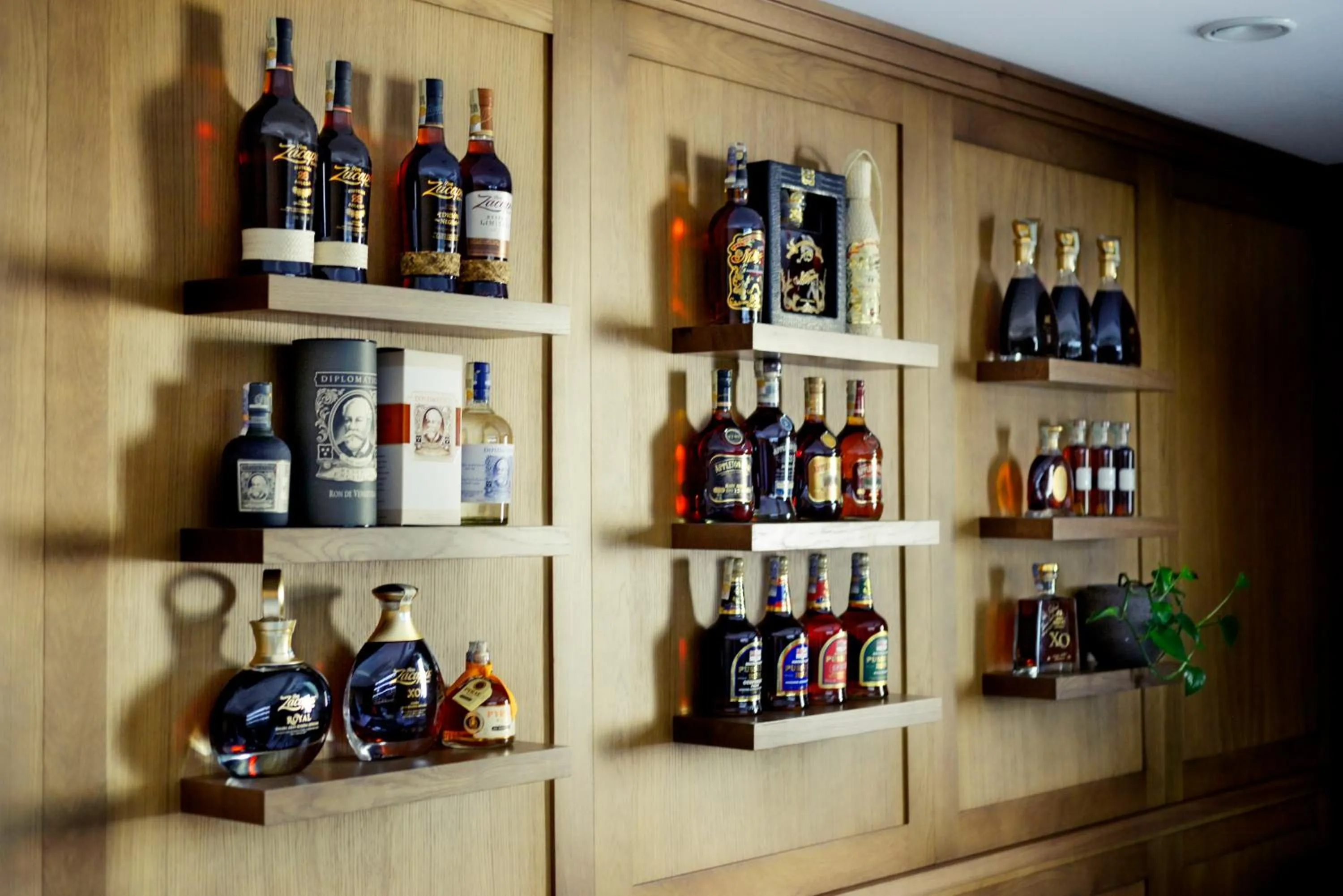 Evening entertainment in PROSECCO RESIDENCE MARKO