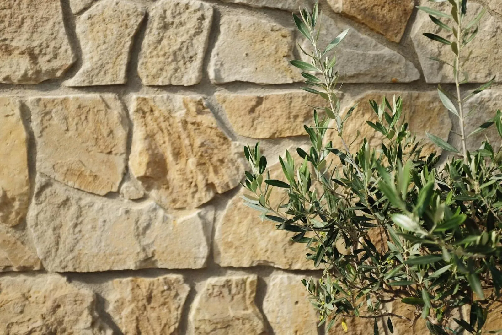 Decorative detail in PROSECCO RESIDENCE MARKO