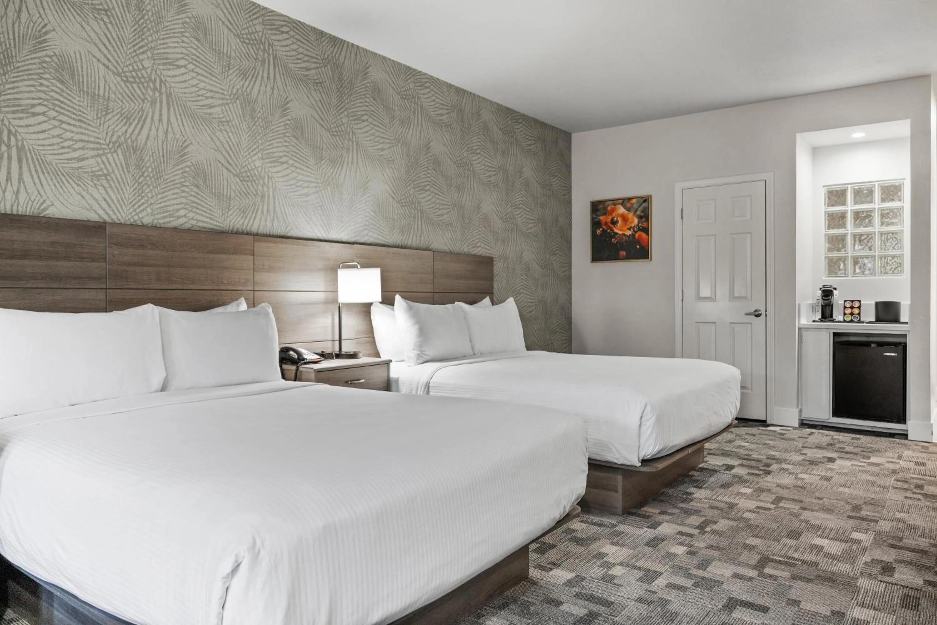 Photo of the whole room, Bed in University Park Inn & Suites, an Ascend Collection Hotel