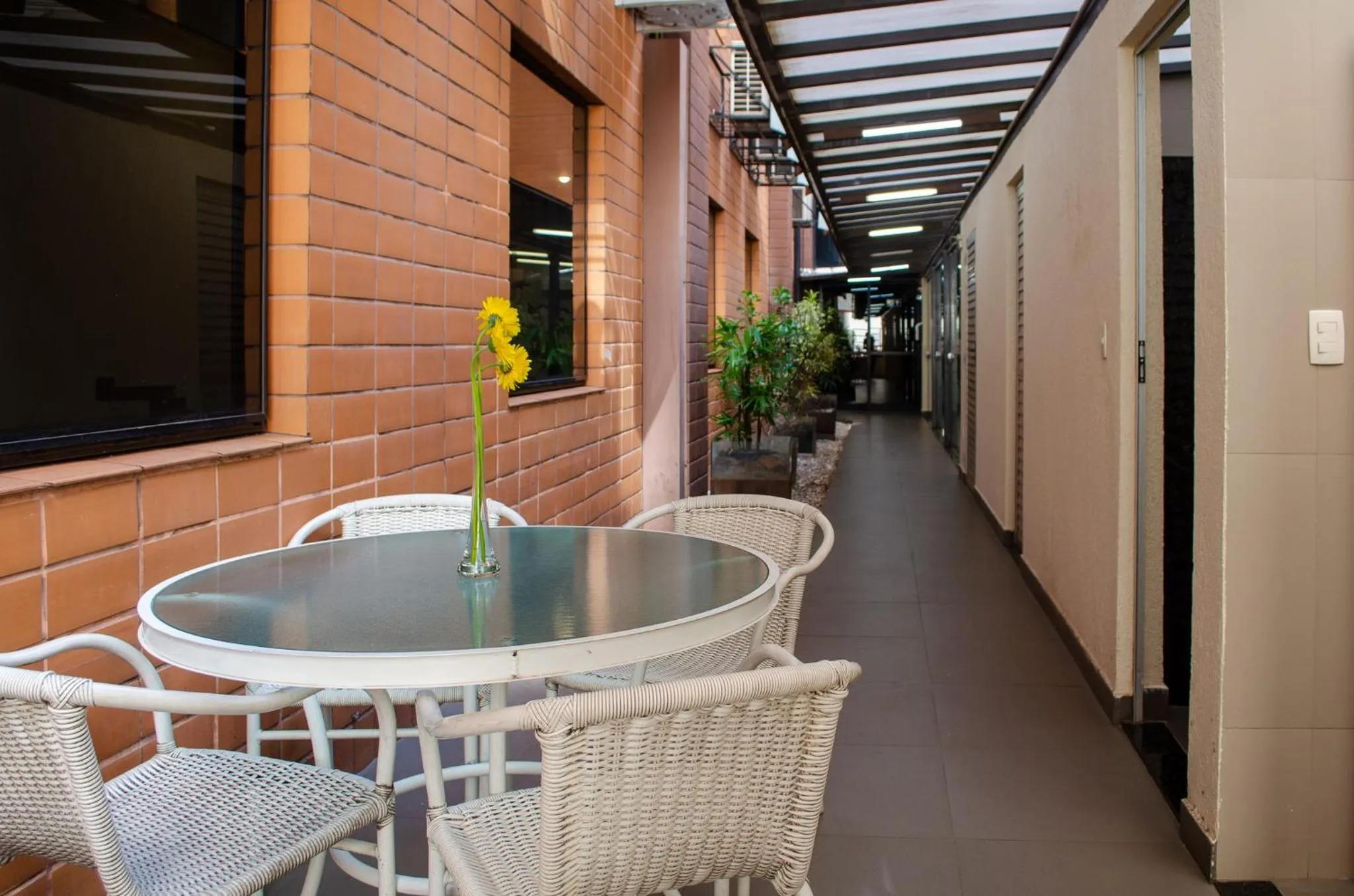 Day in Royal Collection Savassi