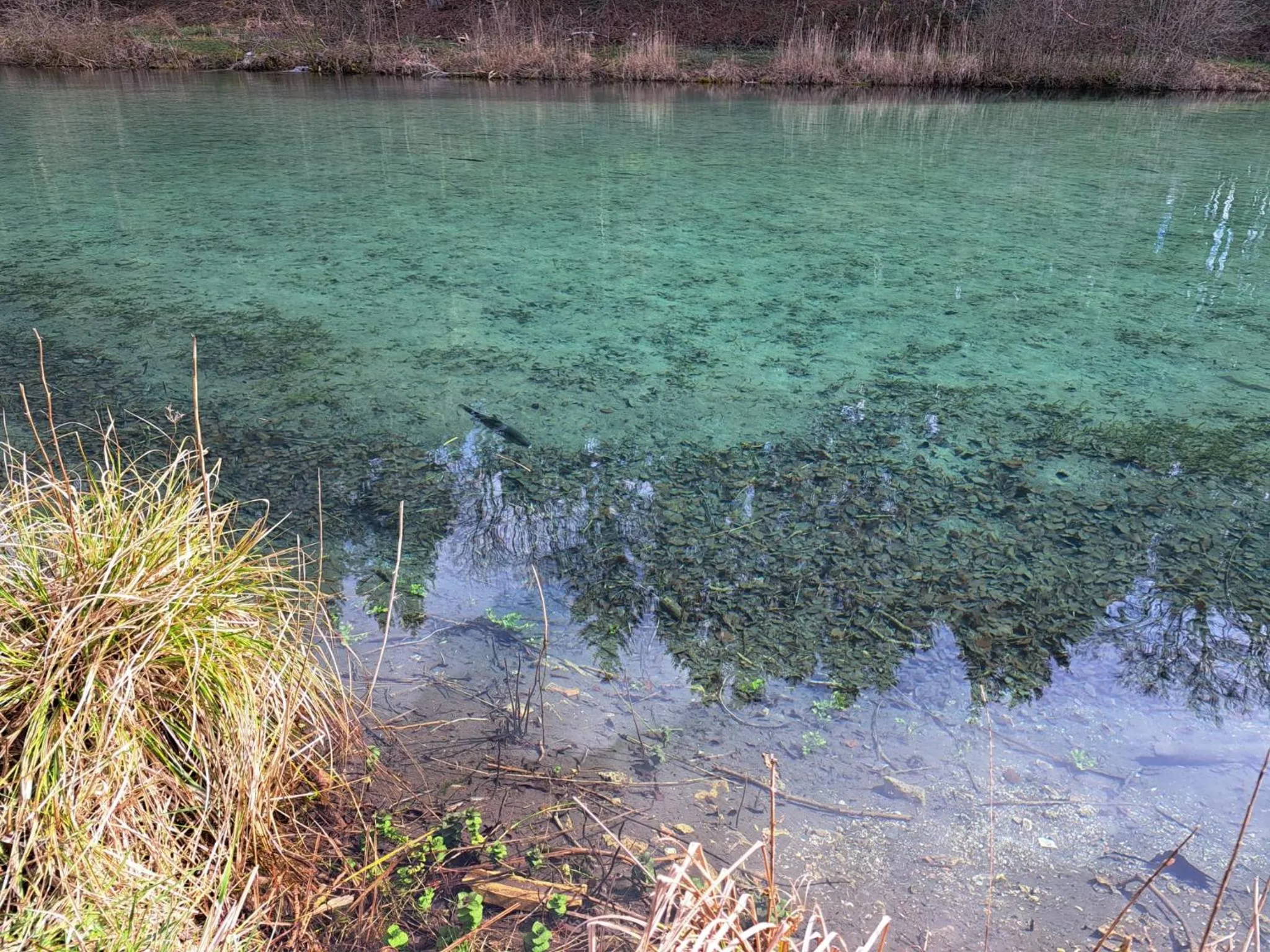 Day in Lodge Hôtel de Sommedieue Verdun