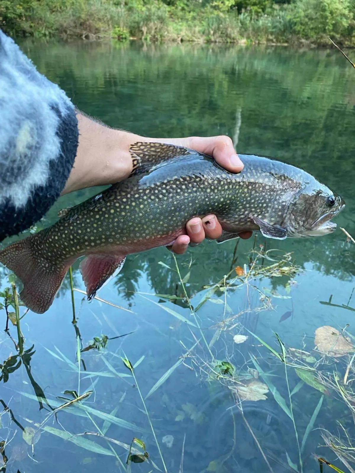 Activities in Lodge Hôtel de Sommedieue Verdun