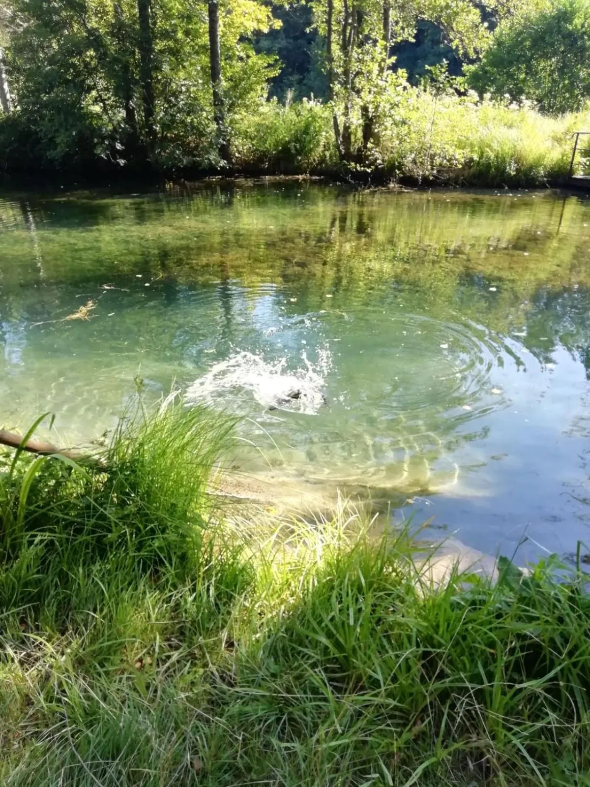 Day in Lodge Hôtel de Sommedieue Verdun