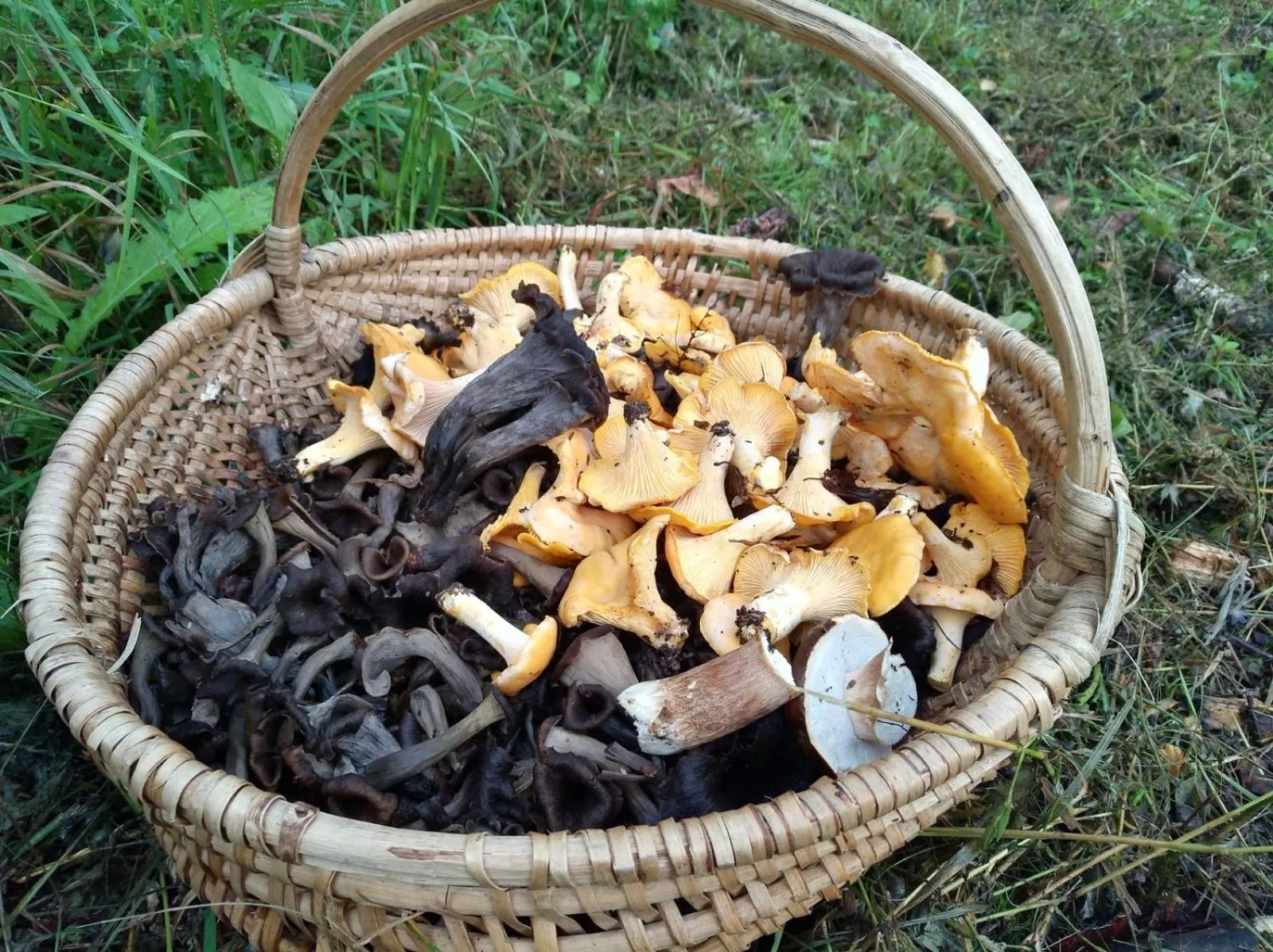 Restaurant/places to eat in Lodge Hôtel de Sommedieue Verdun