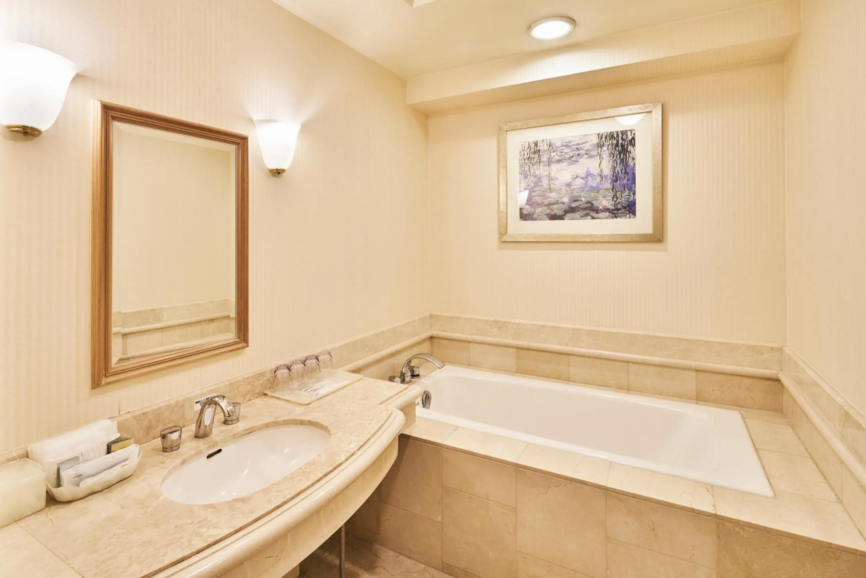 Bathroom in HOTEL MYSTAYS PREMIER Sapporo Park