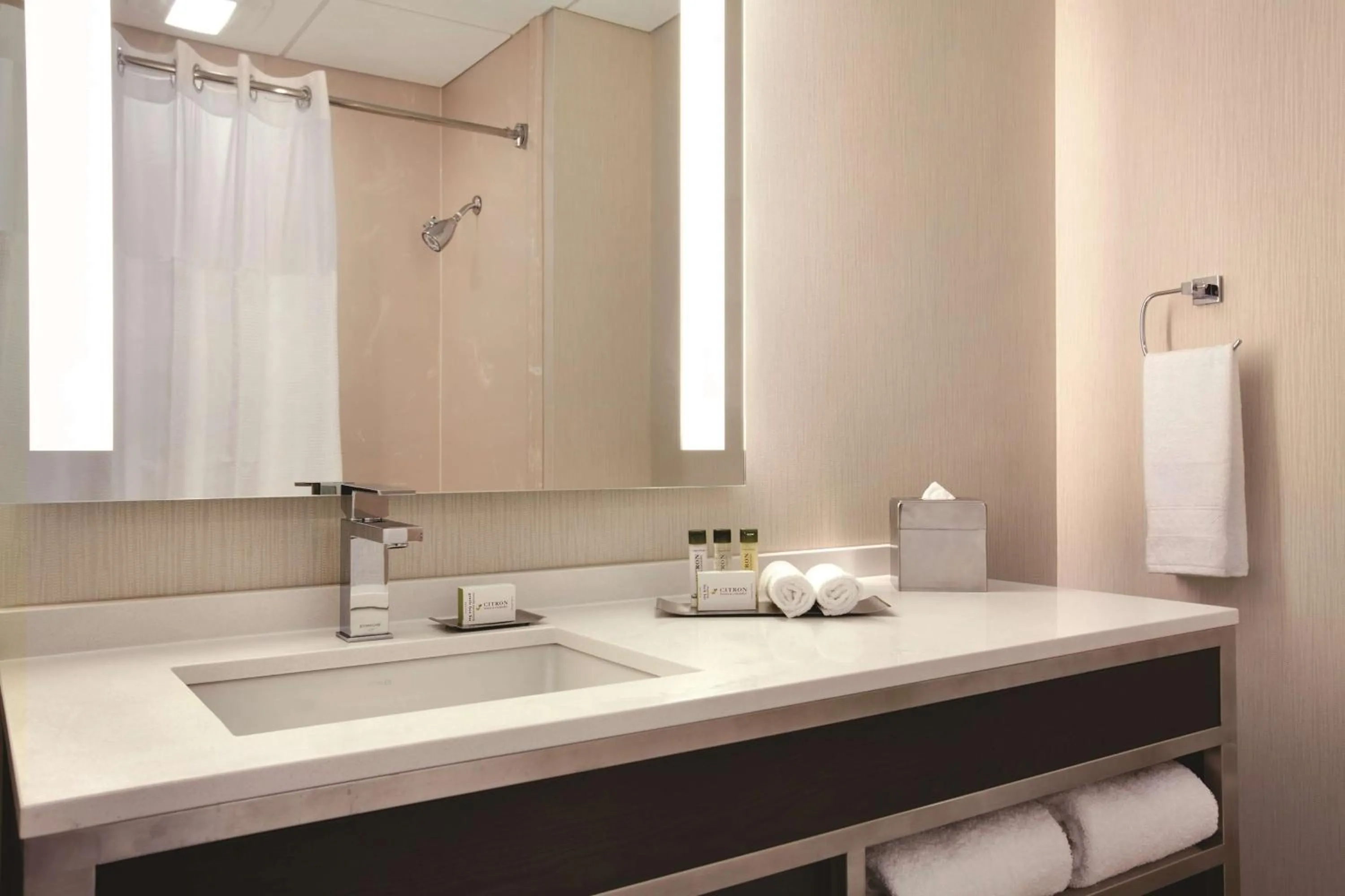 Bathroom in DoubleTree by Hilton Hotel Boston - Downtown