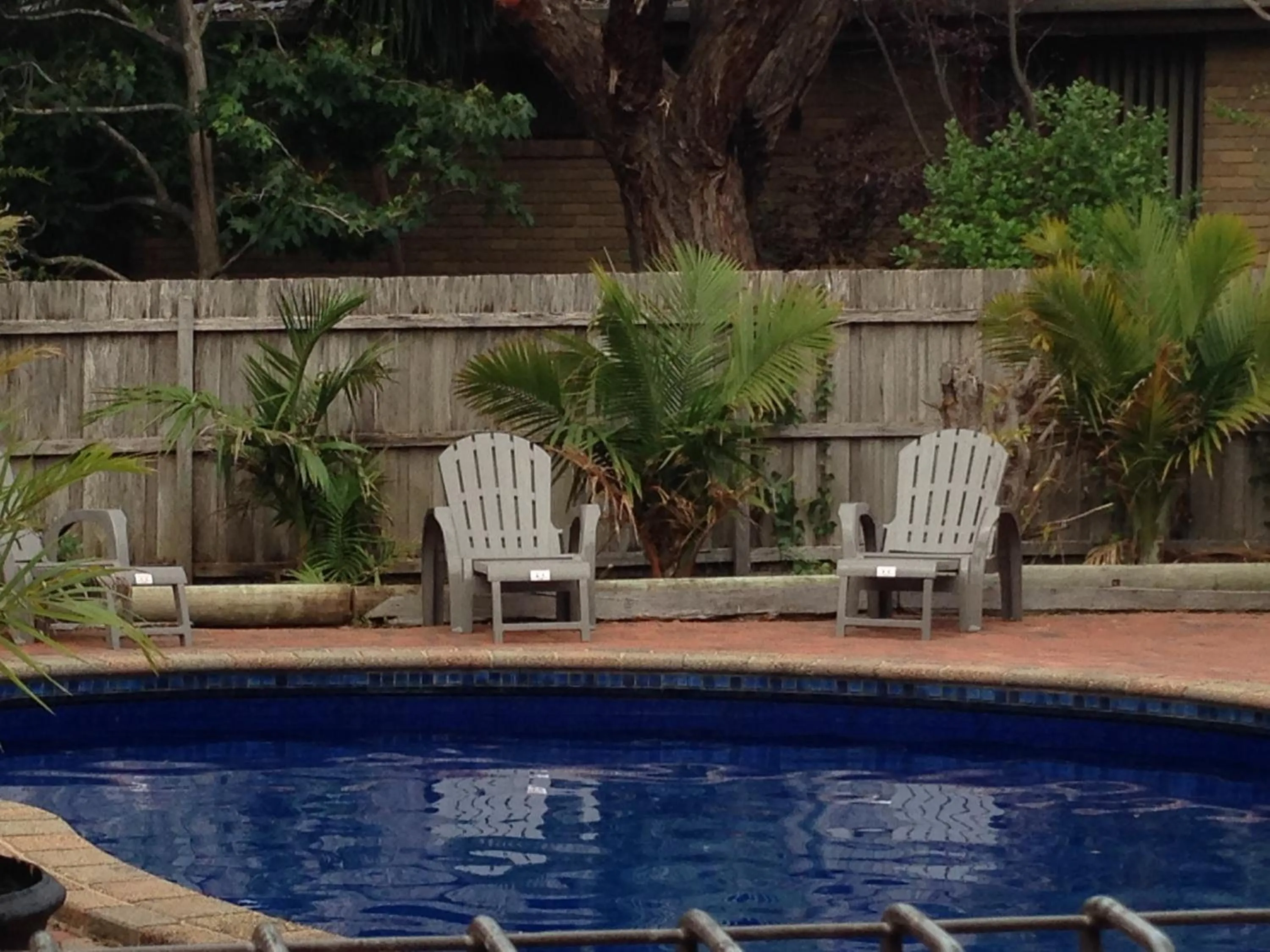 Swimming pool in Coachman Motel and Holiday Units