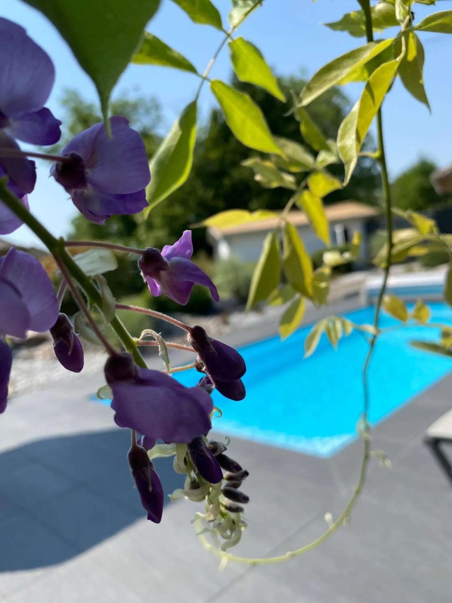 Les Rives des Habsbourg