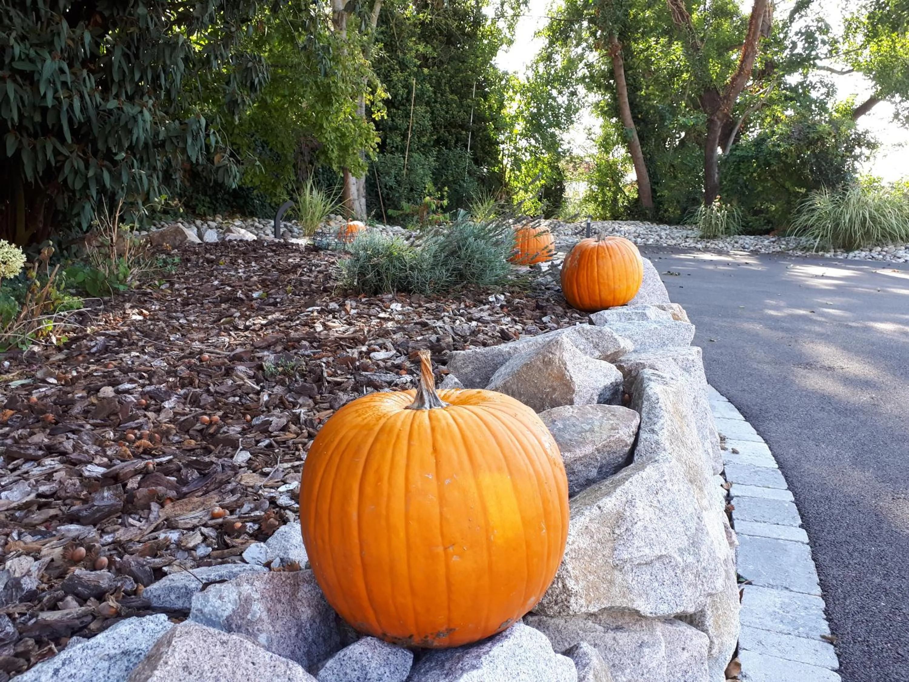 Garden in Les Rives des Habsbourg