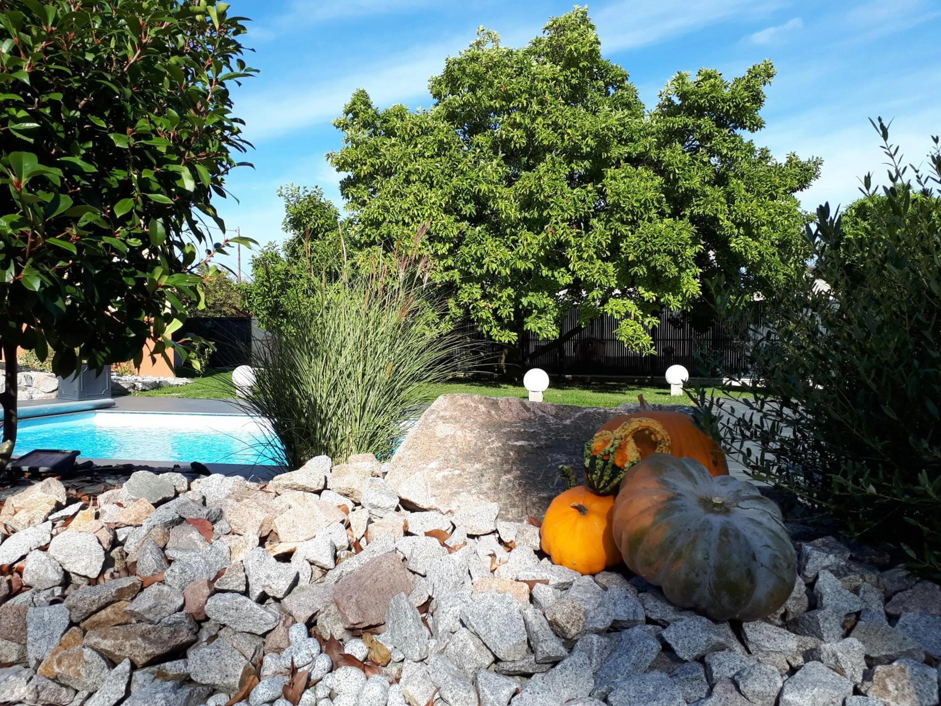 Garden in Les Rives des Habsbourg