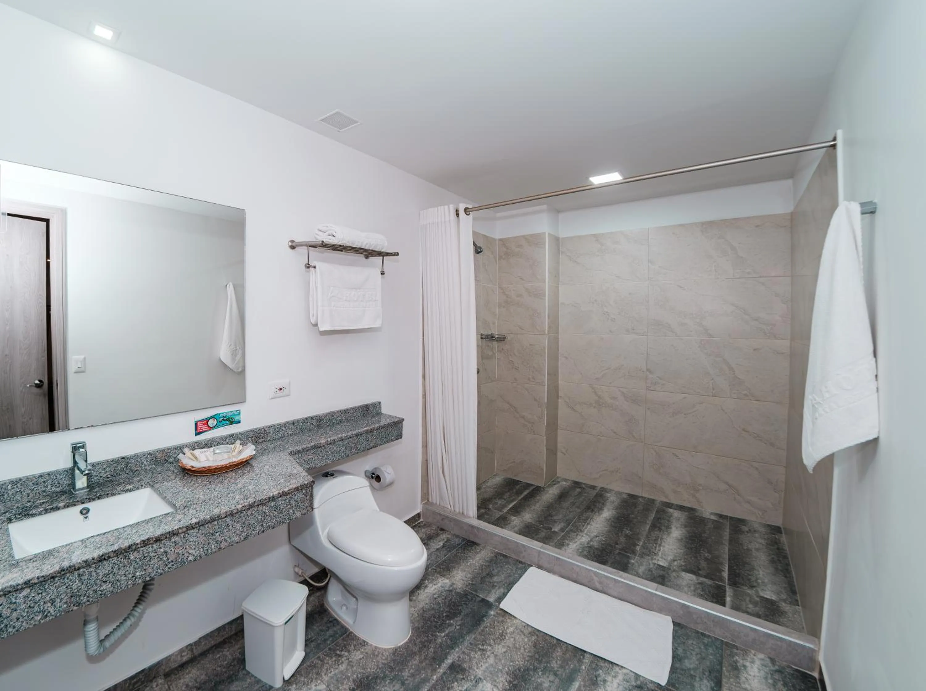 Shower in Hotel Portal Del Norte