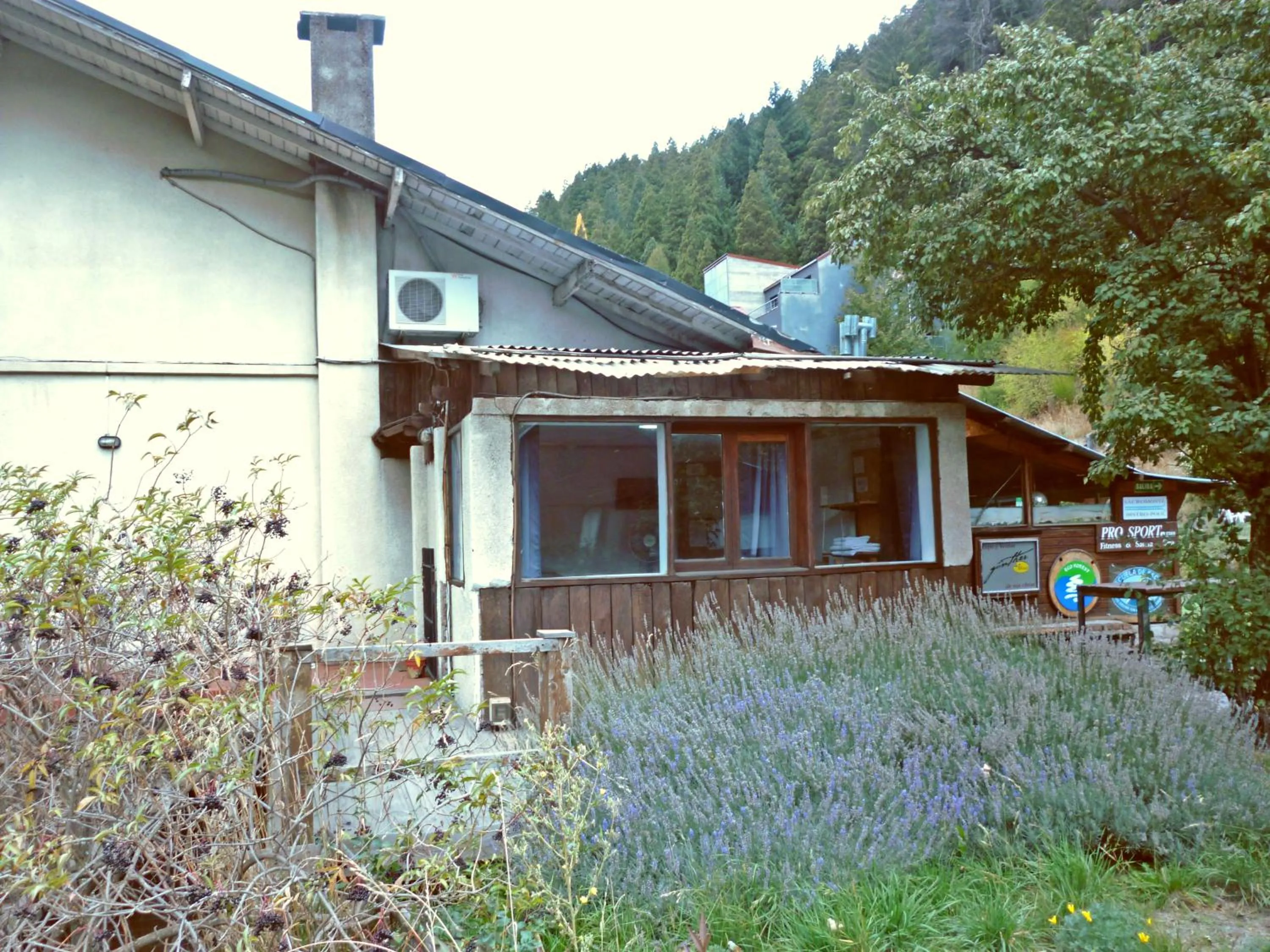 Property building in Sacromonte Apart