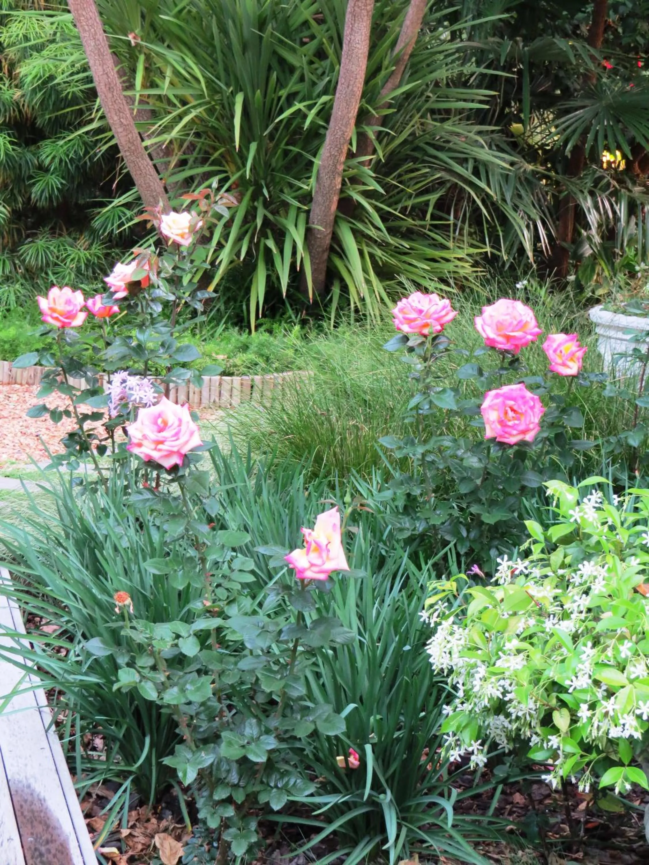 Garden in Maison Chablis Guest House
