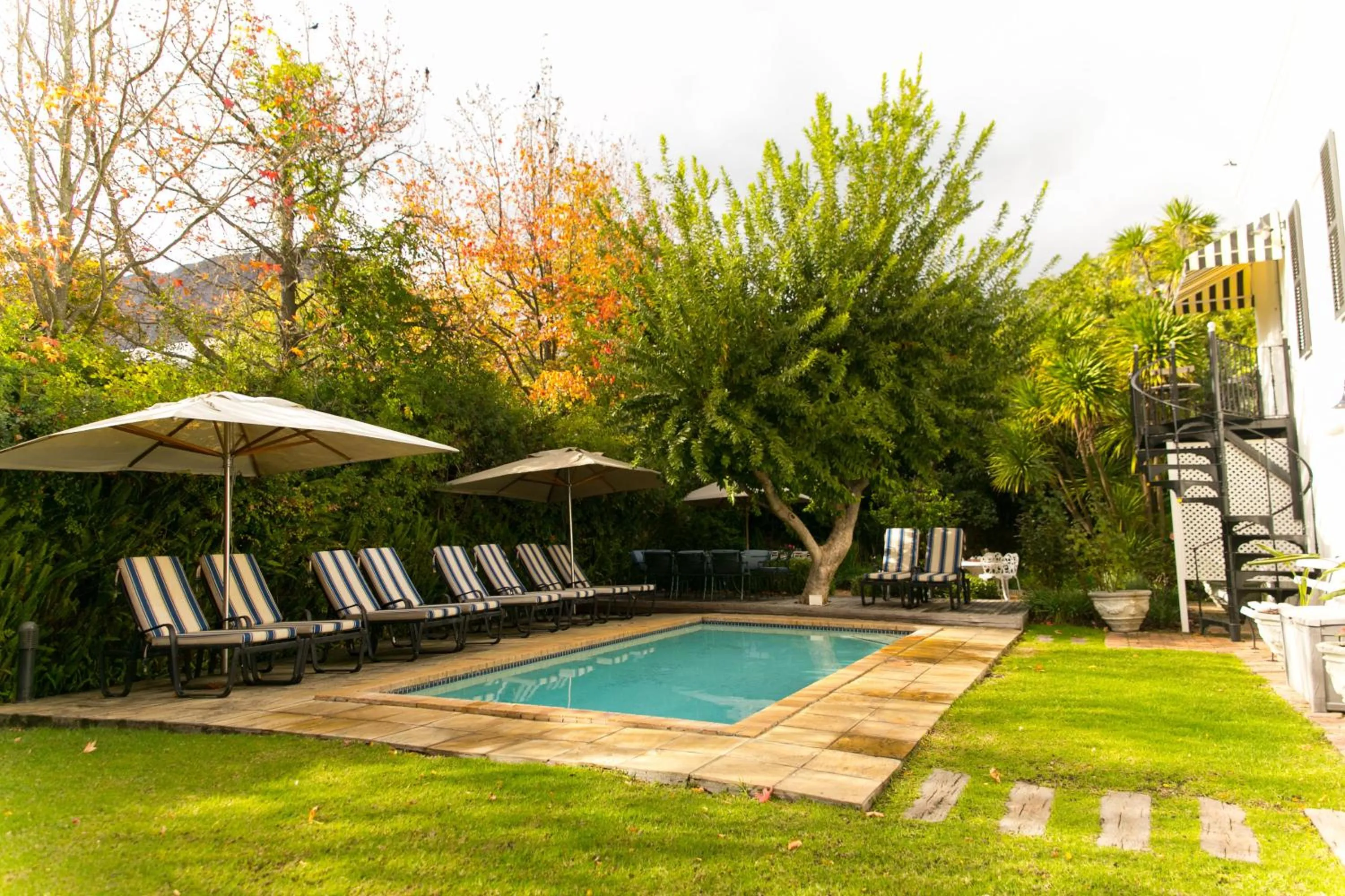 Swimming pool in Maison Chablis Guest House
