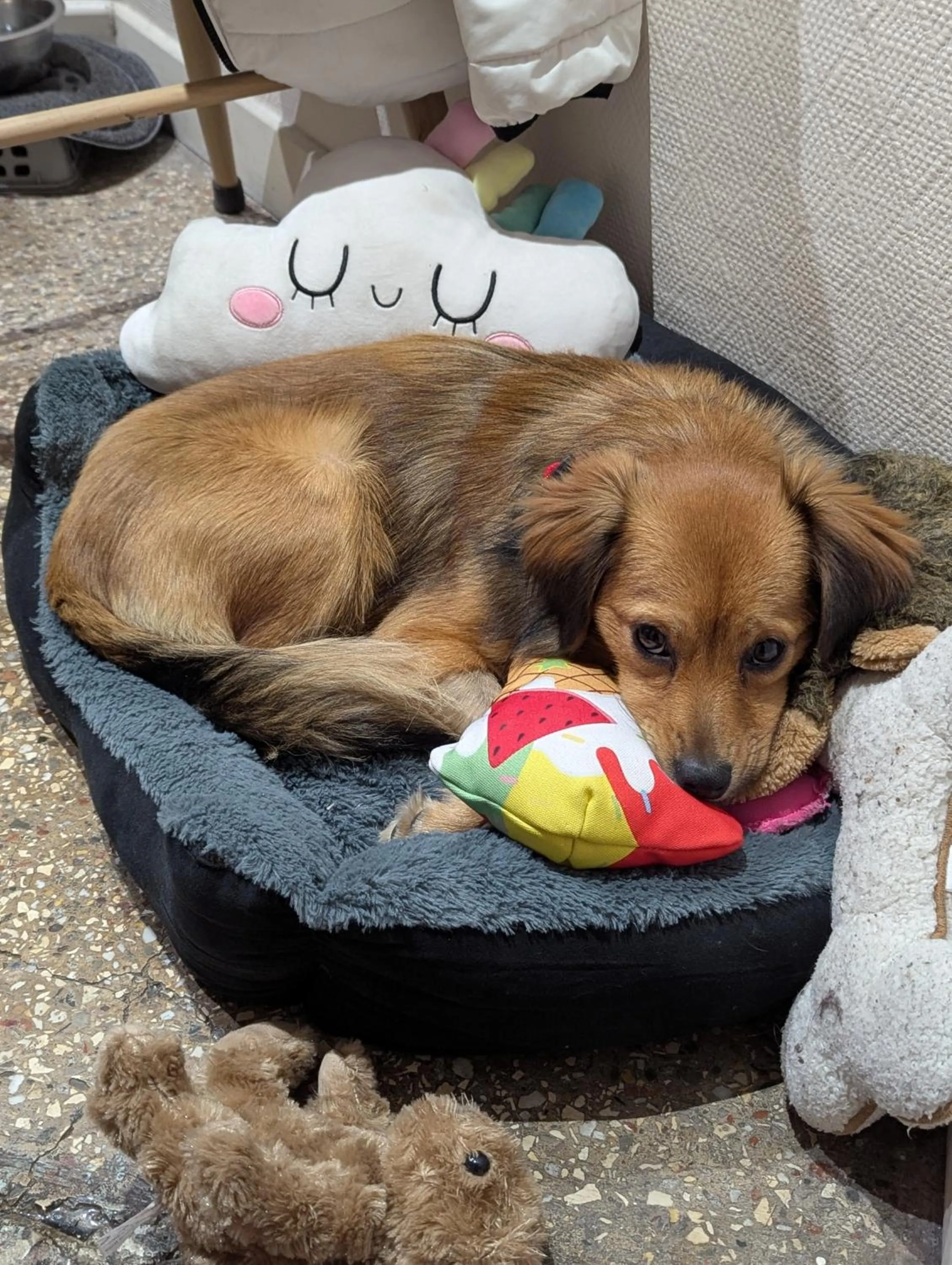 Staff in Hotel Victor Hugo Nice