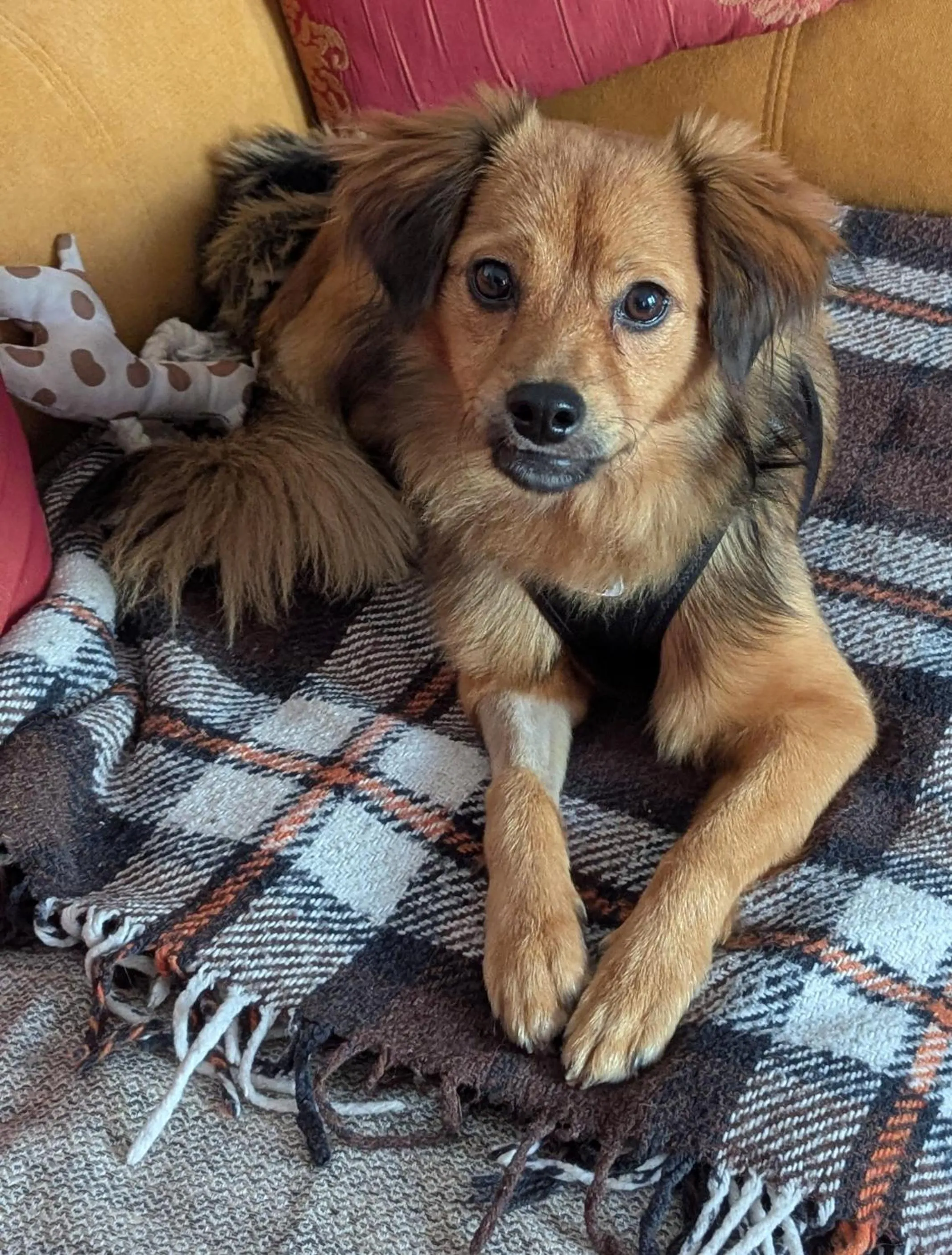 Staff in Hotel Victor Hugo Nice