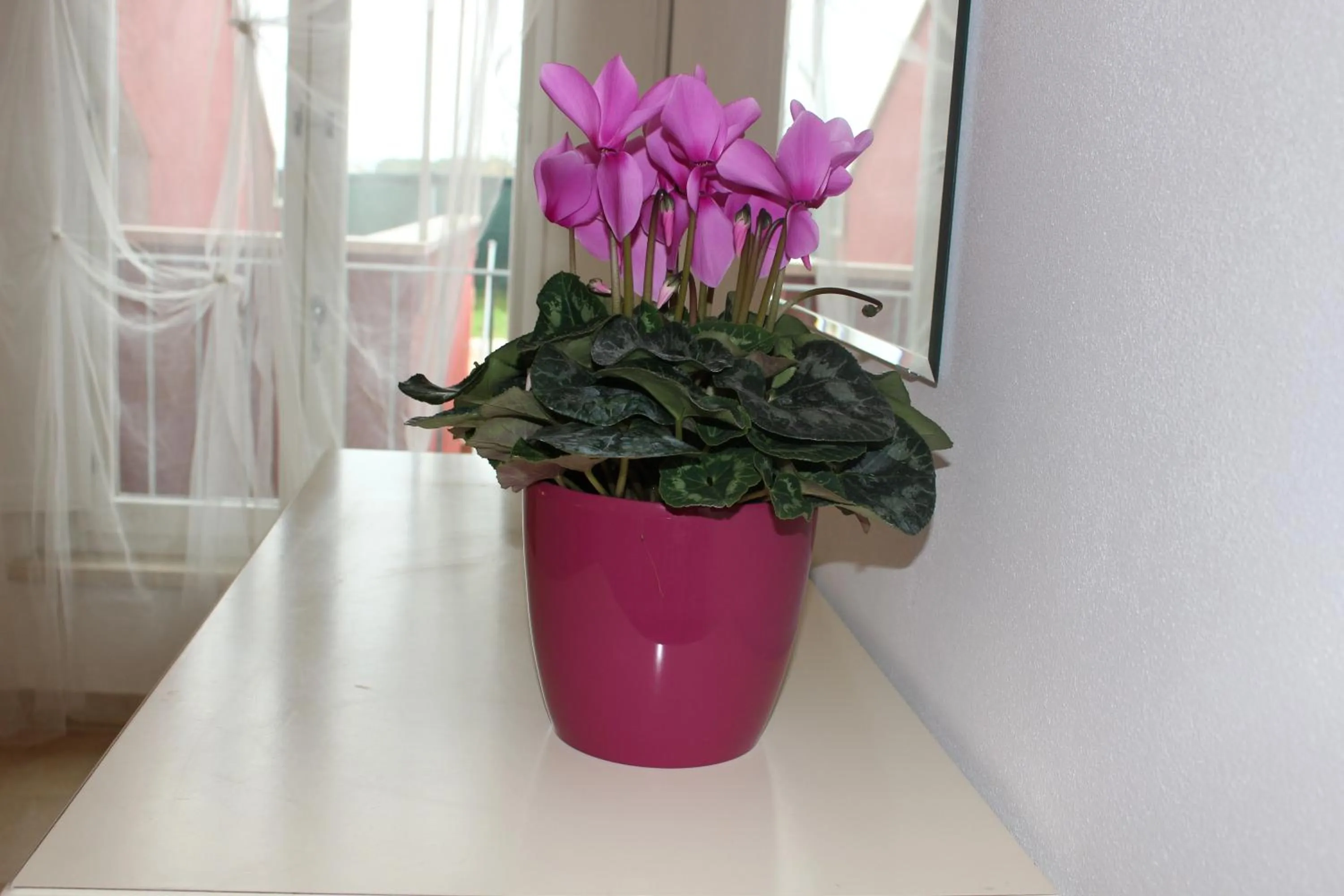 Other in Aba Village RTA