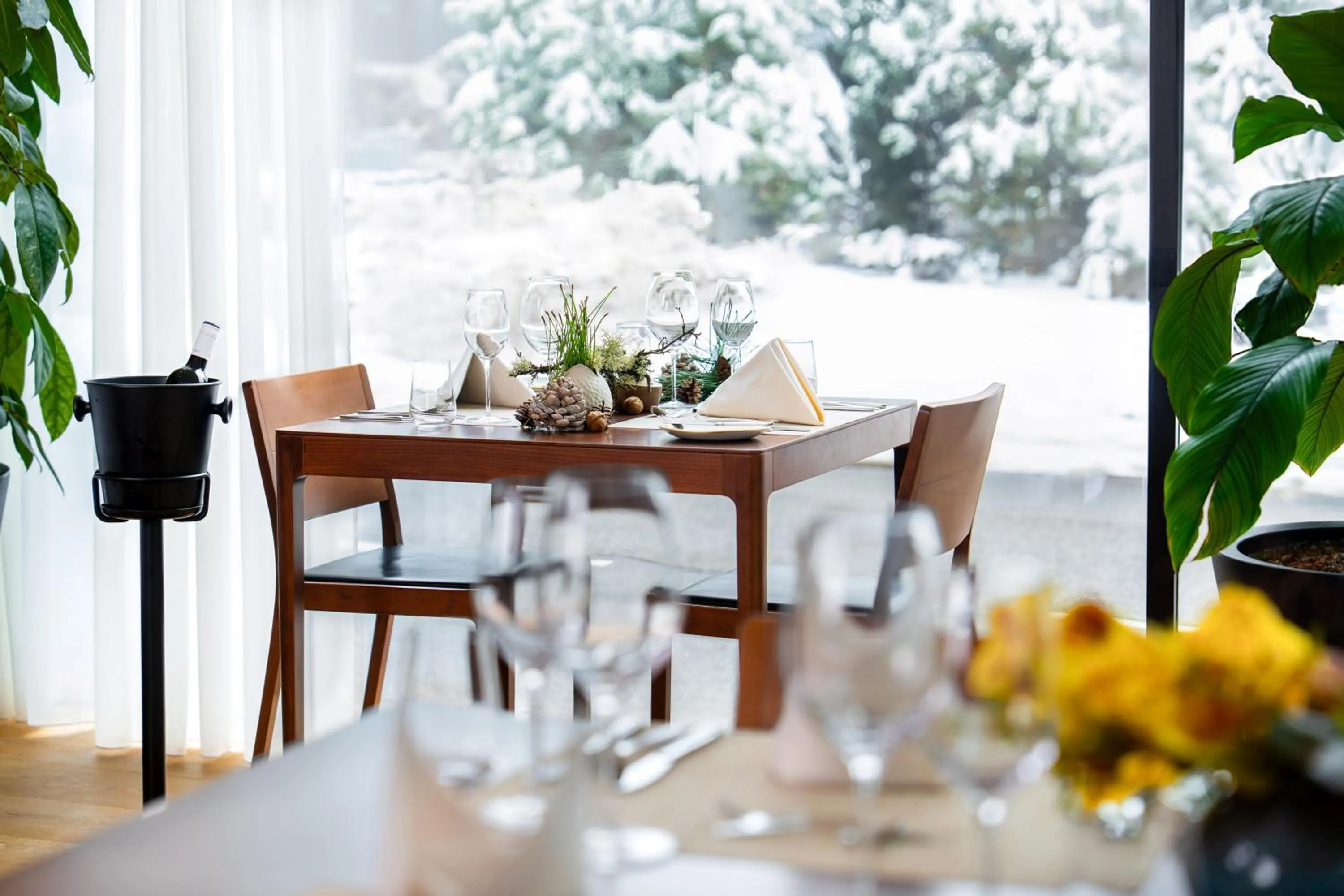 Restaurant/places to eat in Alpenhotel Ammerwald