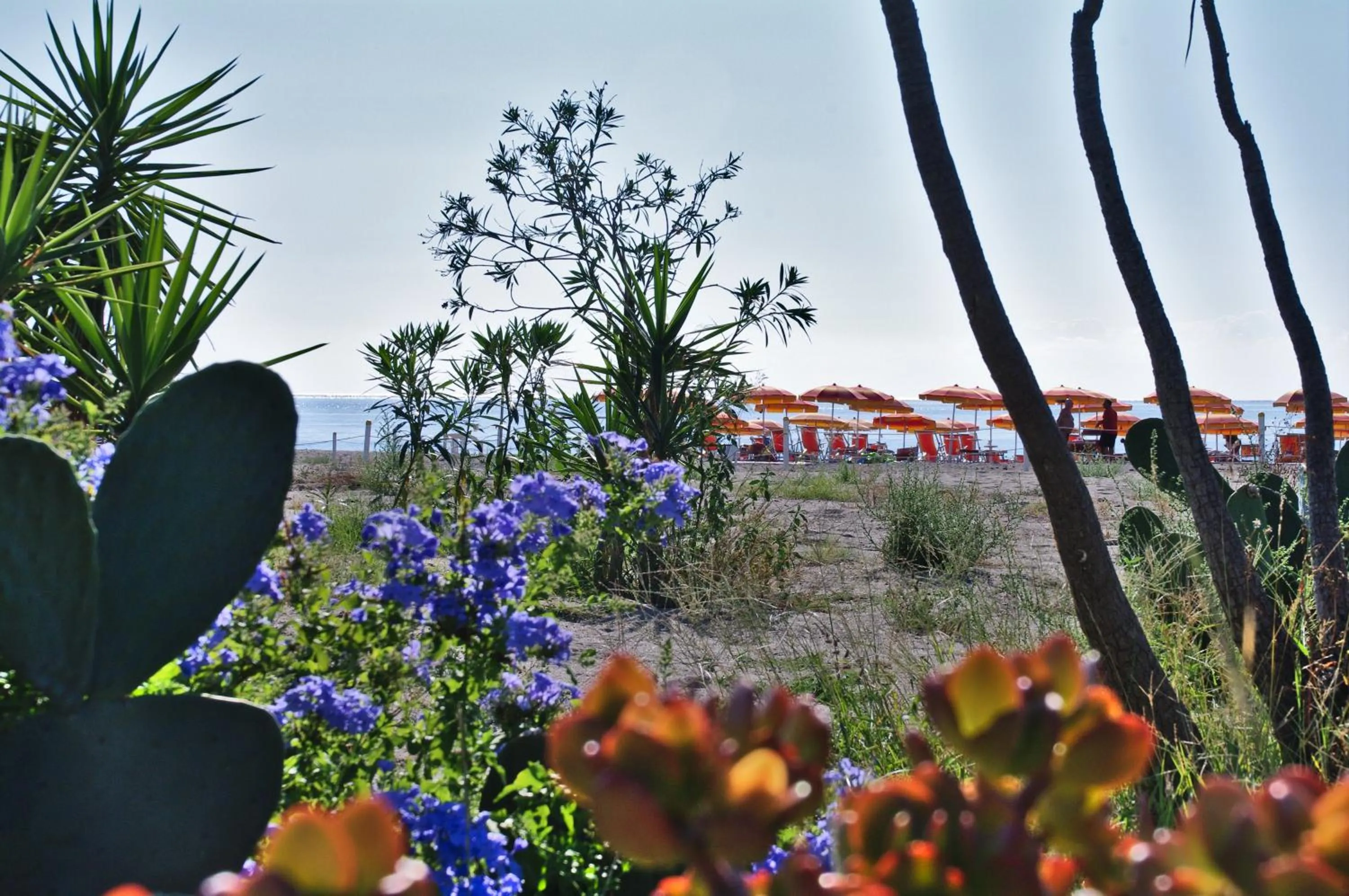 Beach in Grand Hotel President
