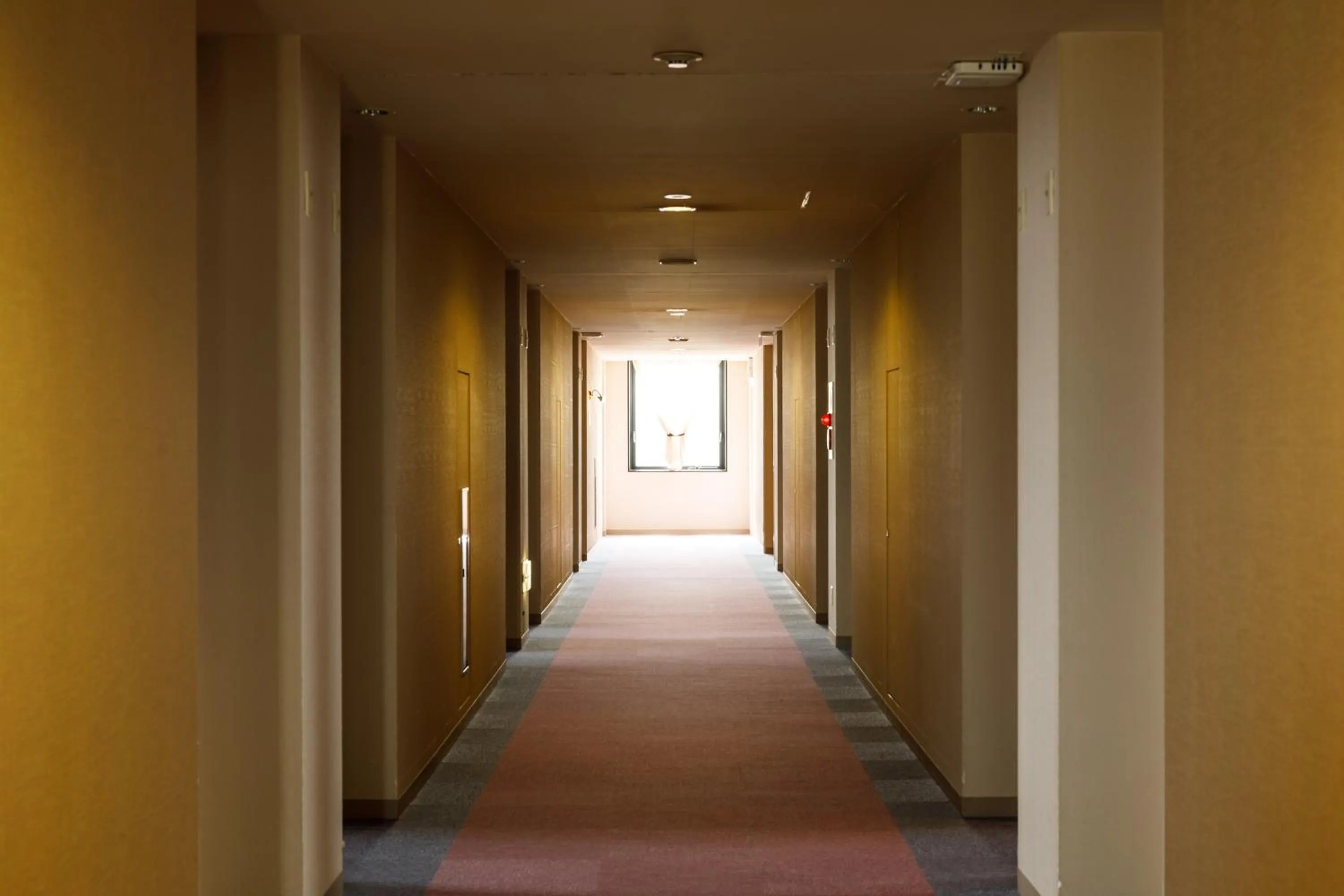 Area and facilities in Fukuno Town Hotel A・Mieux