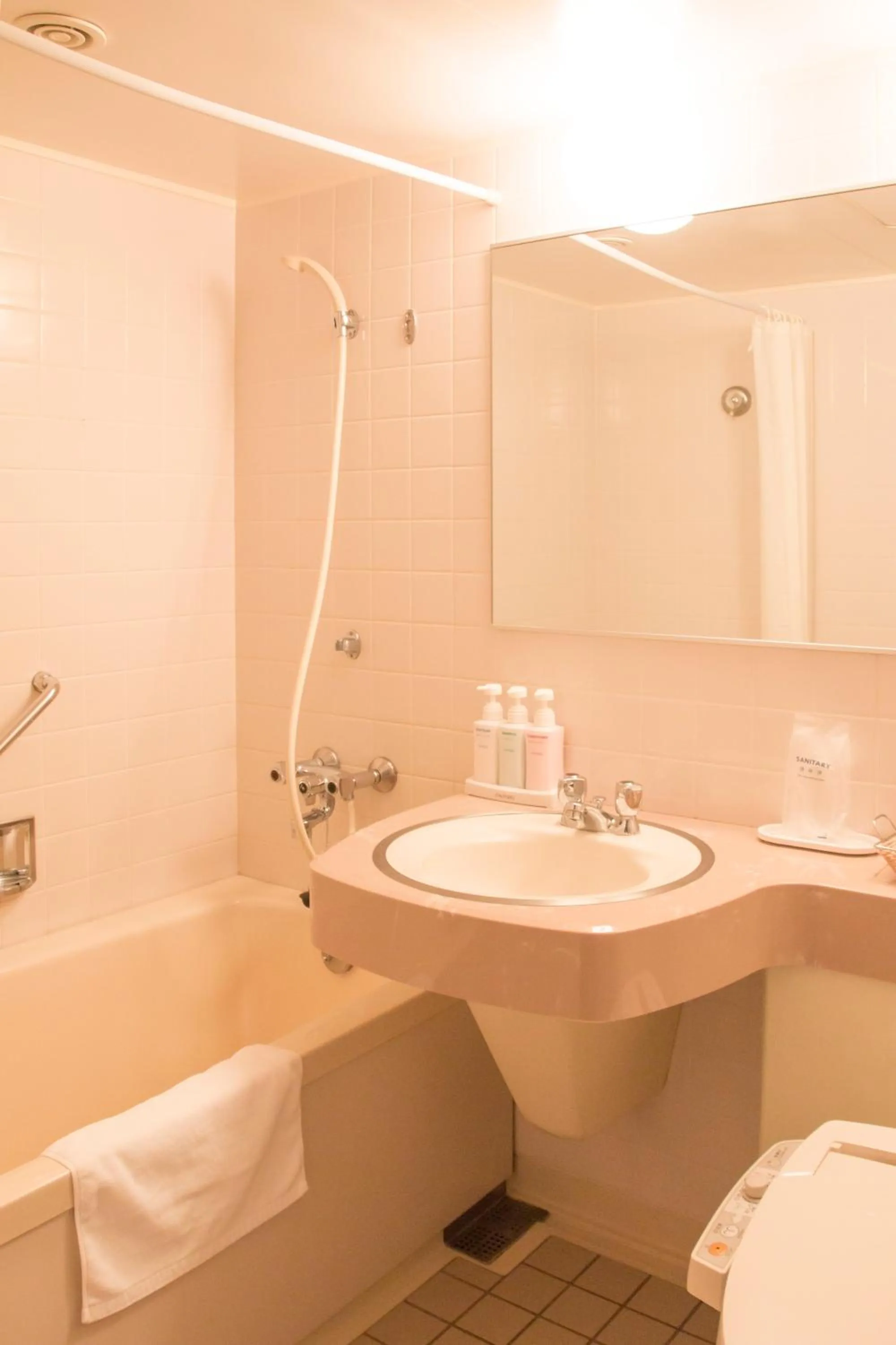 Toilet in Fukuno Town Hotel A・Mieux