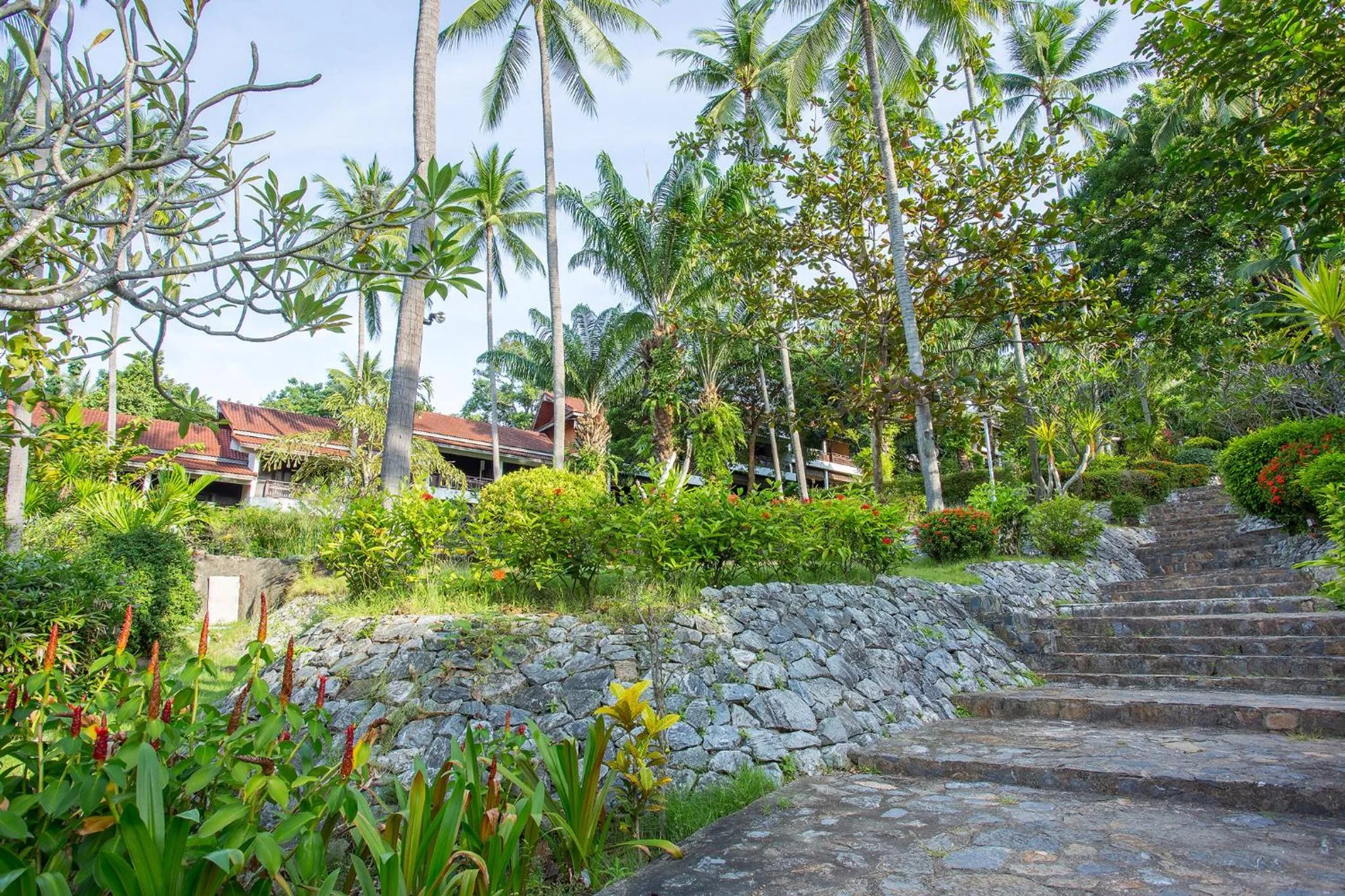 Natural landscape in Nova Samui Resort