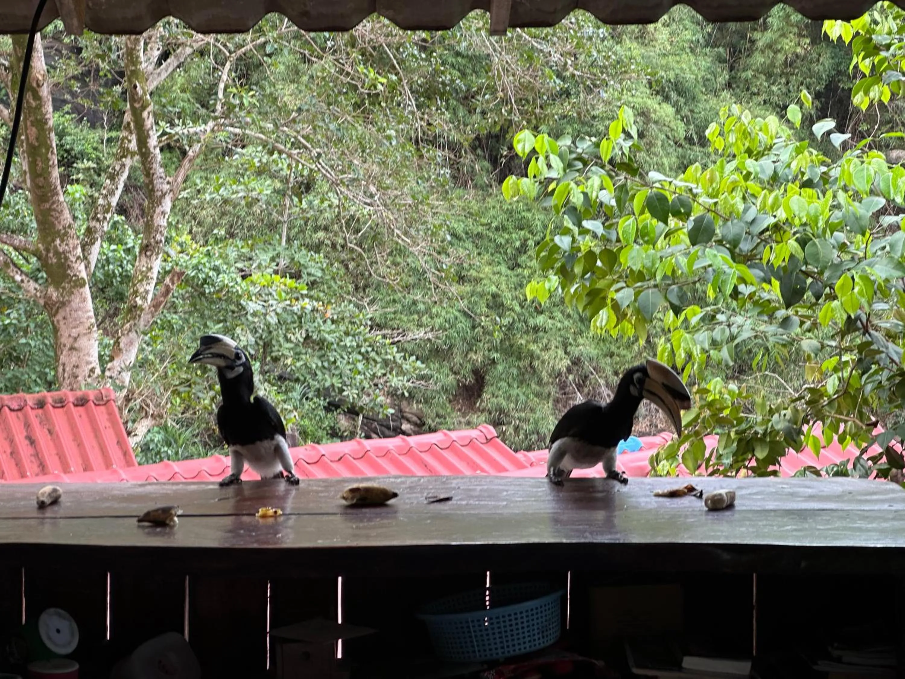 Mama's Bungalows Koh Chang Ranong