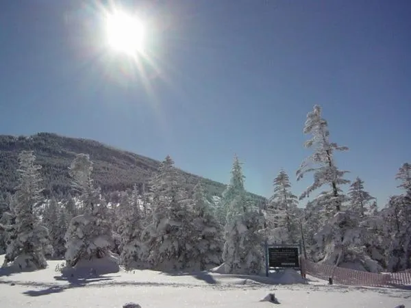 Skiing in Shikino Yado Subaru