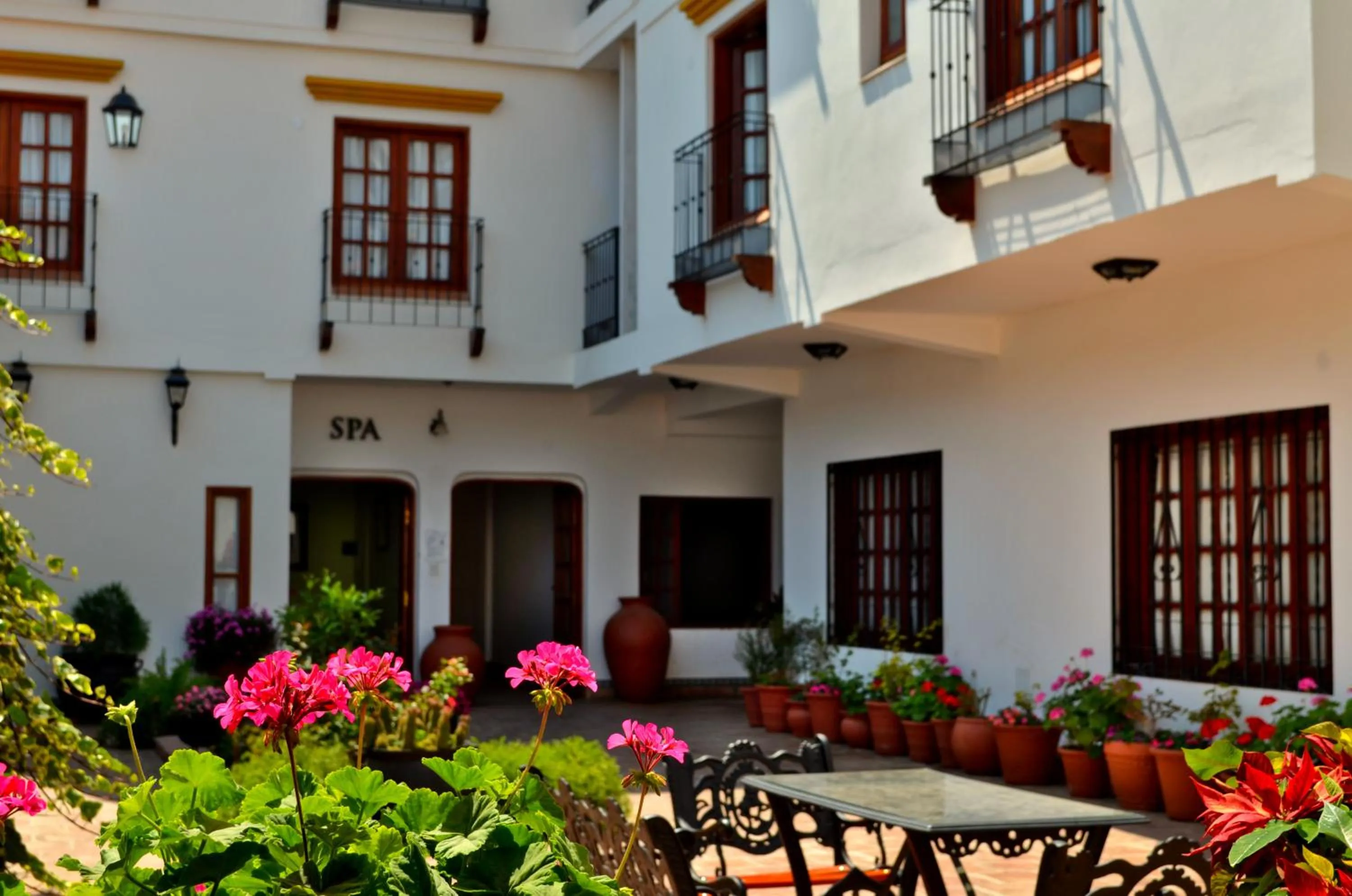 Garden view in Hotel Asturias