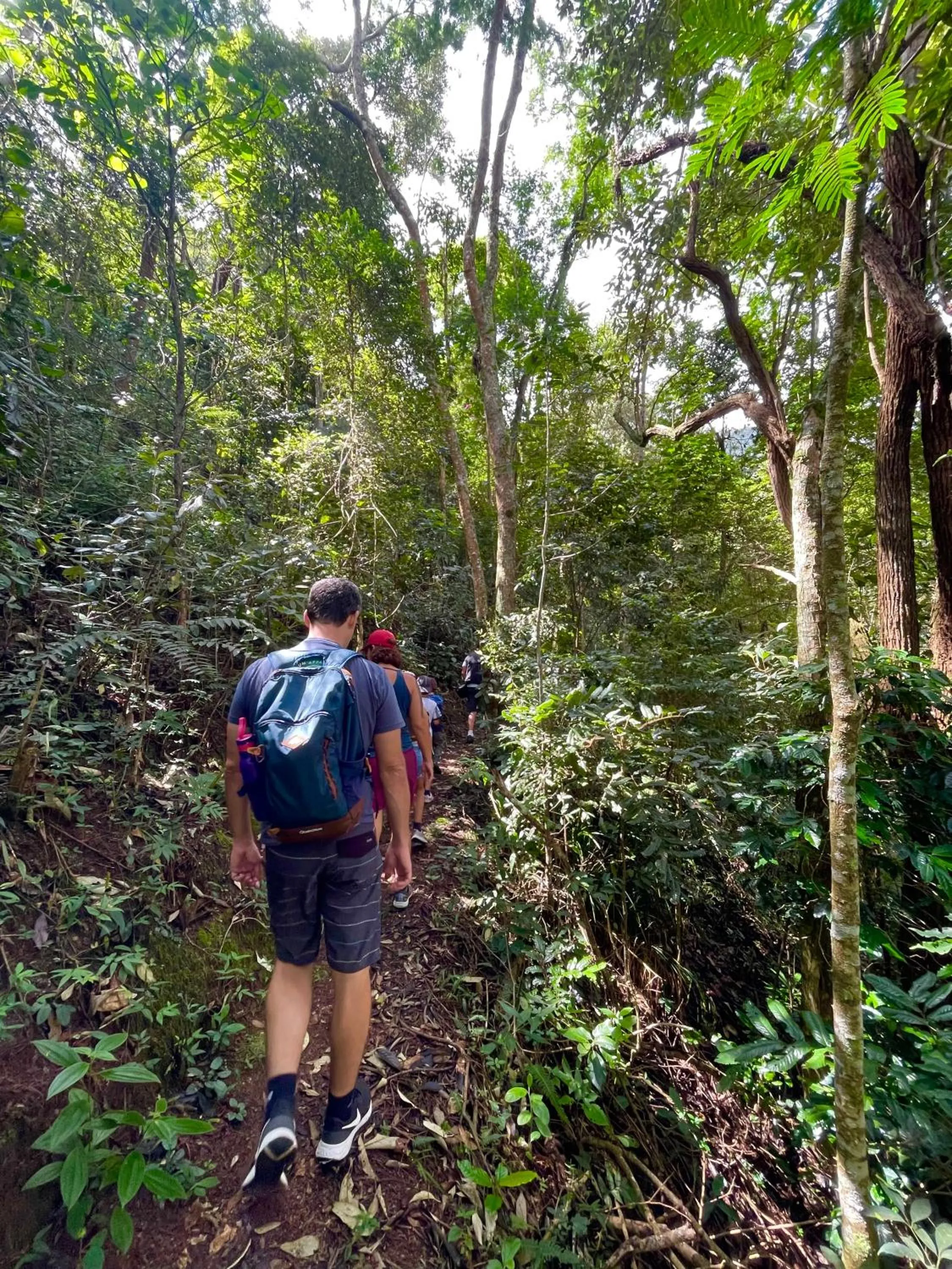 Pousada Paraiso