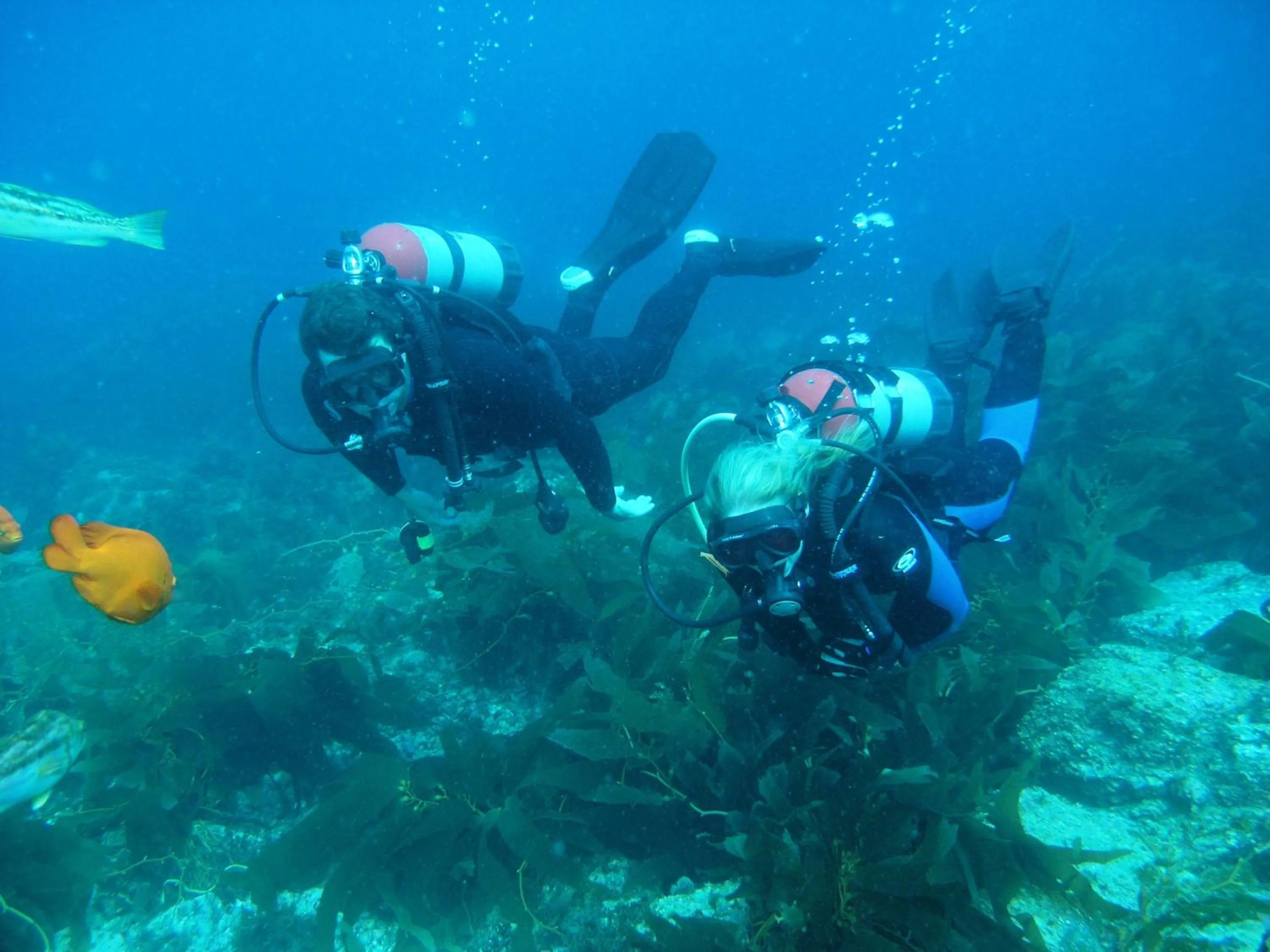 Diving in Aurora Hotel