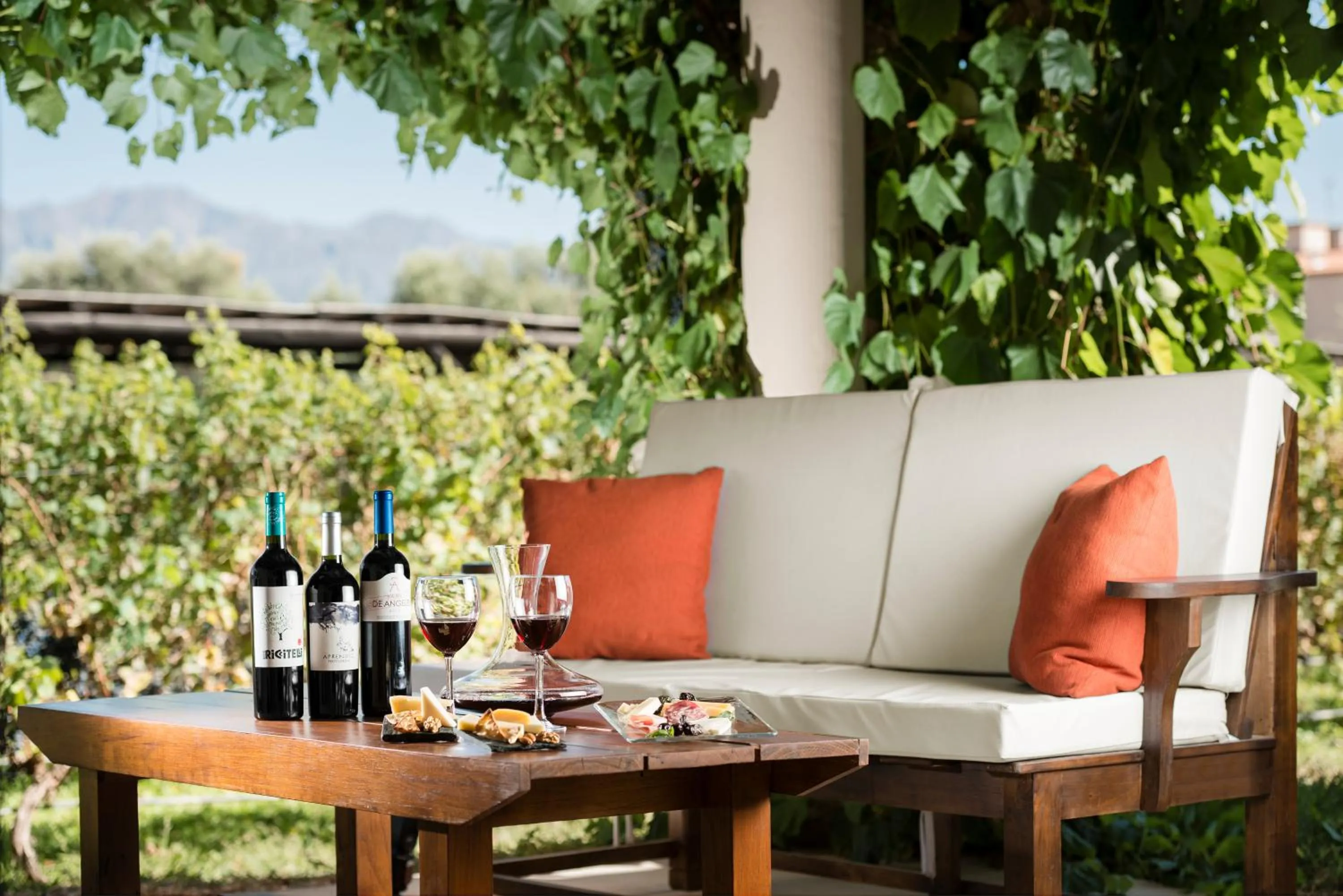 Patio in Villa Mansa